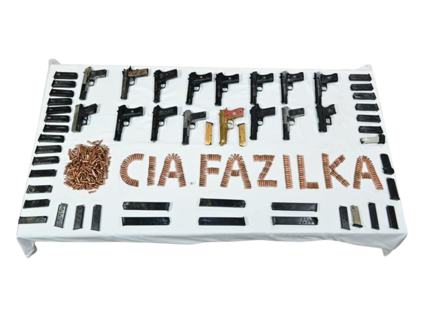 Fazilka police bust a cross-border weapon smuggling module (Photo/Punjab Police)