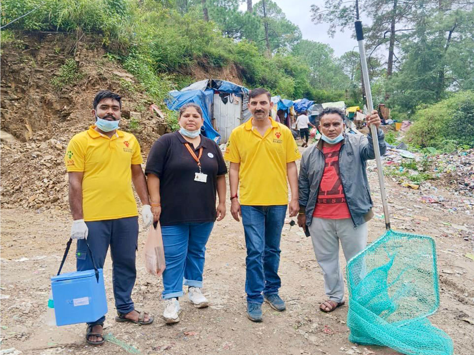 Himachal: Mass Anti-Rabies vaccination drive successfully conducted in ...