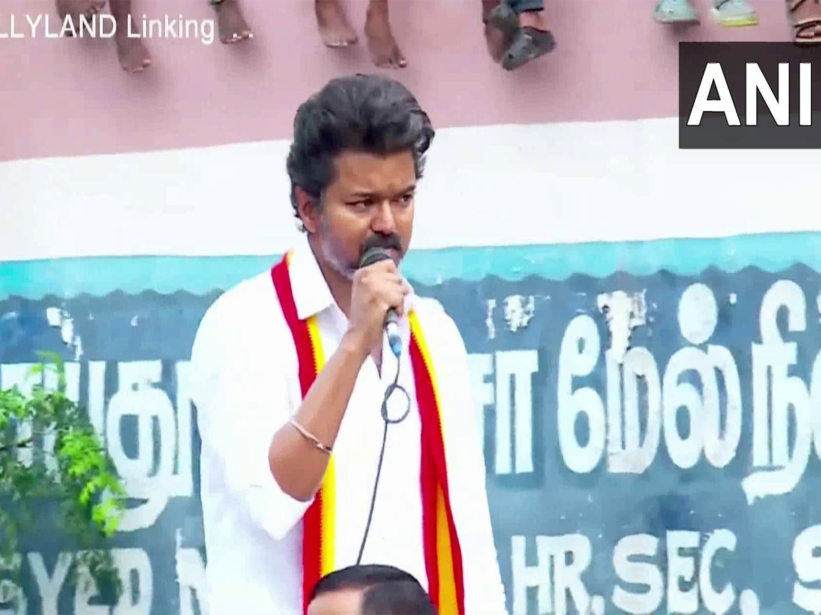 Tamilaga Vettri Kazhagam(TVK) Chief Vijay (Photo/ANI)