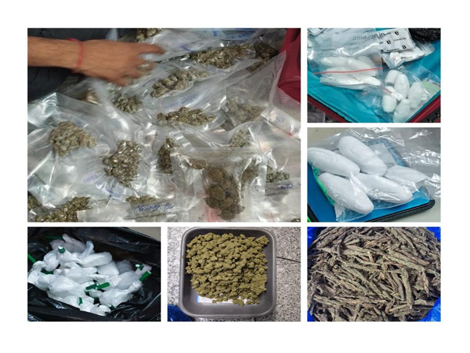 Seized narcotics by Directorate of Revenue Intelligence (Photo: PIB)