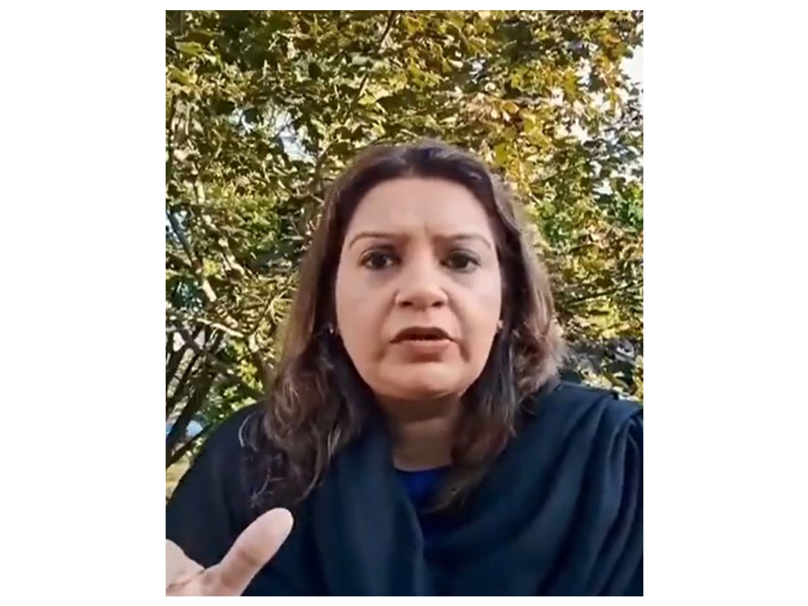 ANI News - Politics - News Image