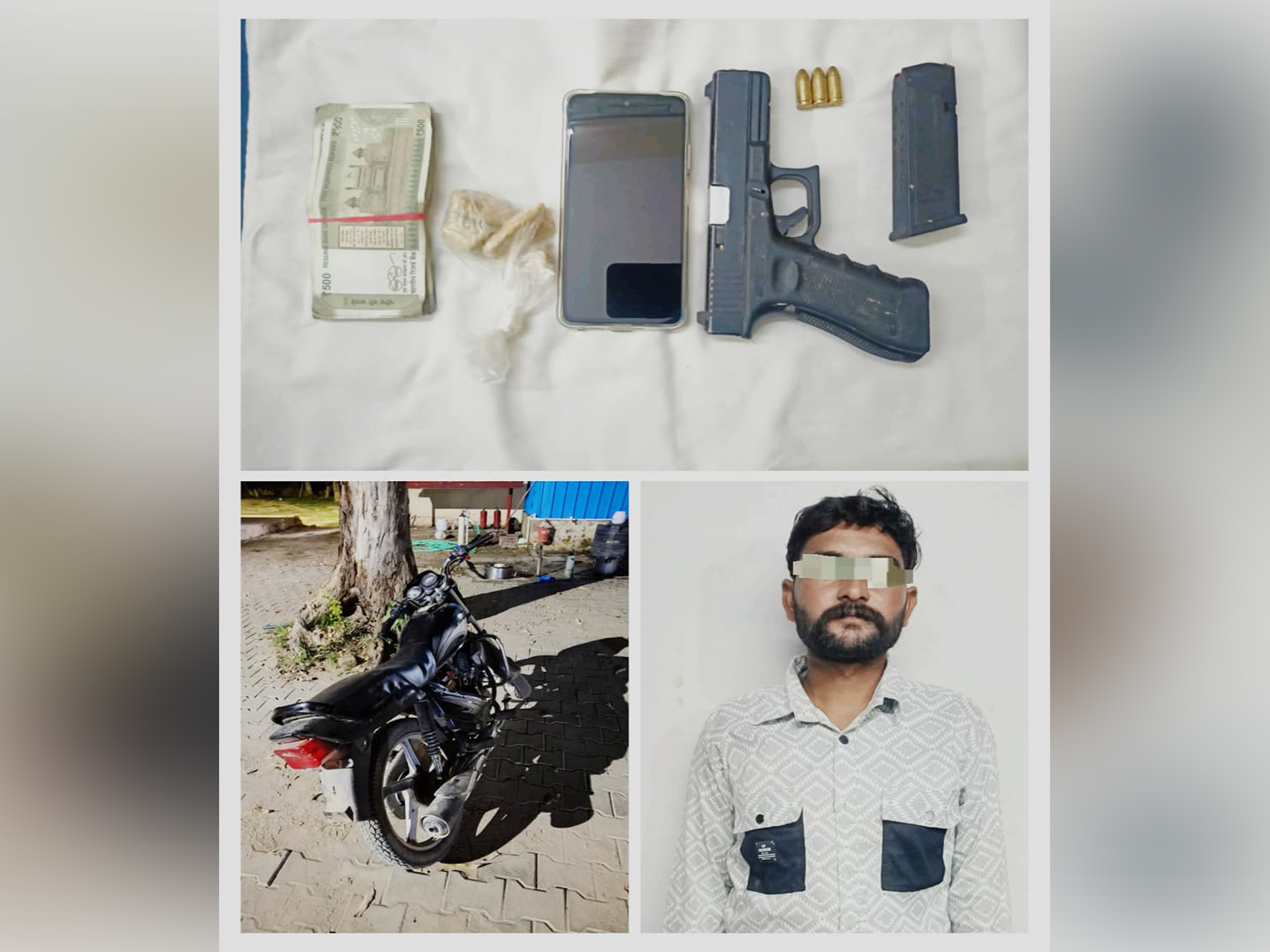 ANI News - Business - News Image