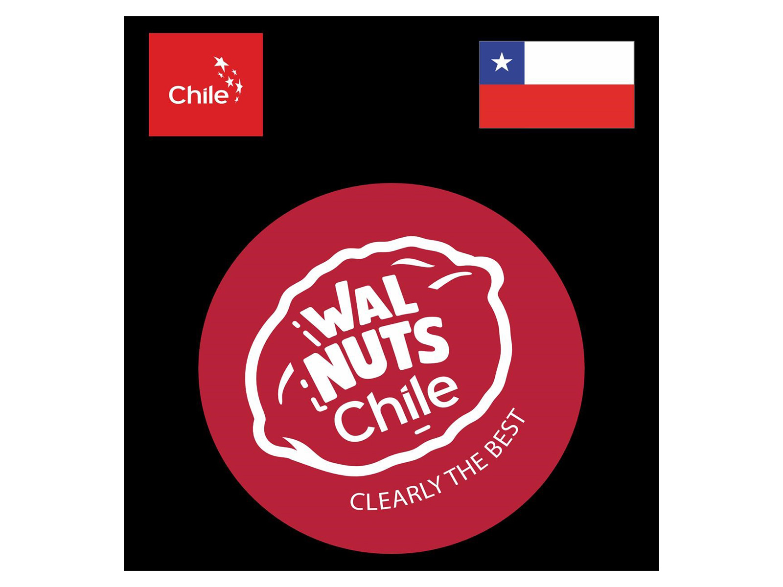 Chilean Walnuts Strengthen Presence in India with New Season Launch