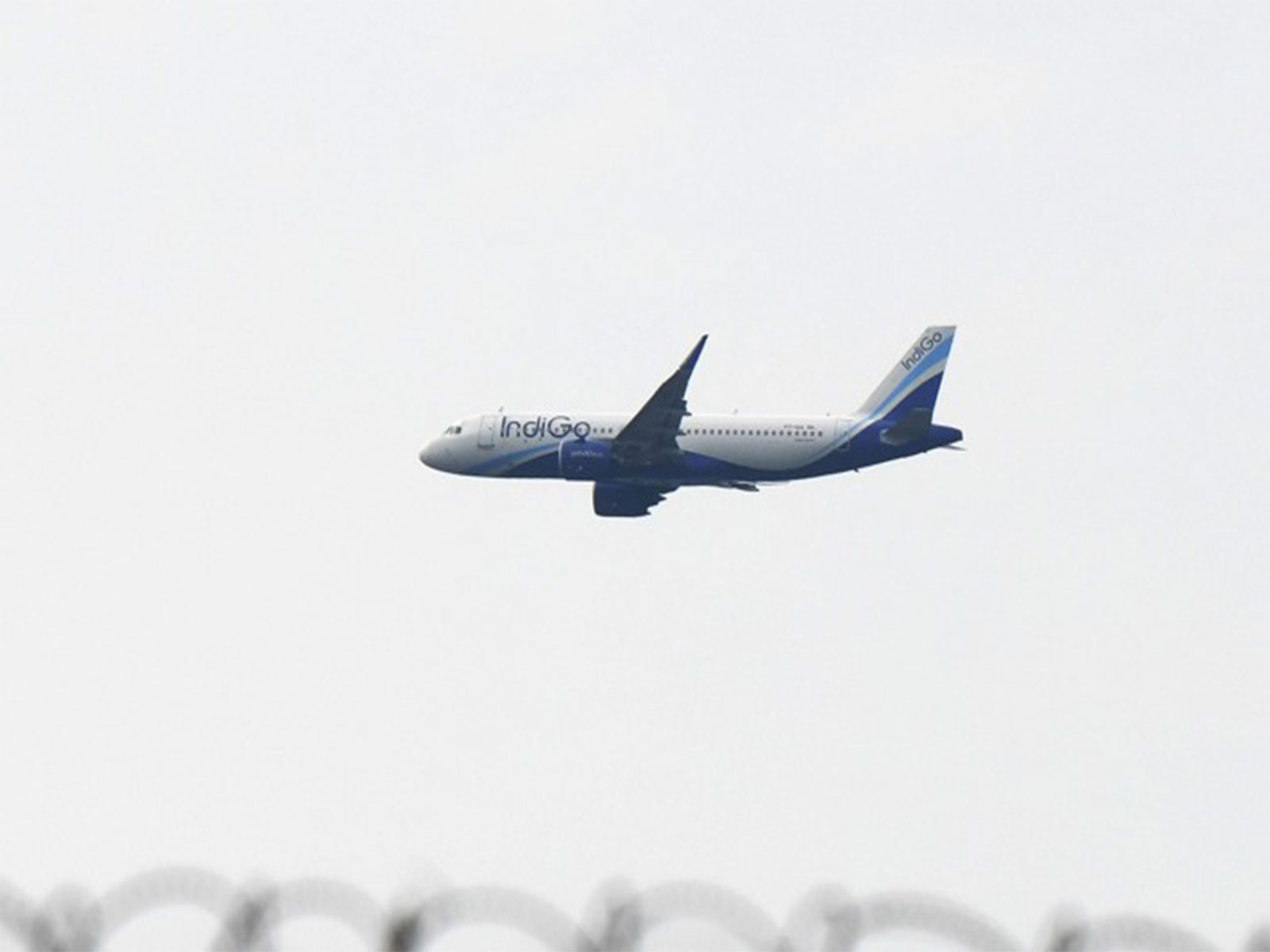 An Indigo flight  (File Photo/ANI)