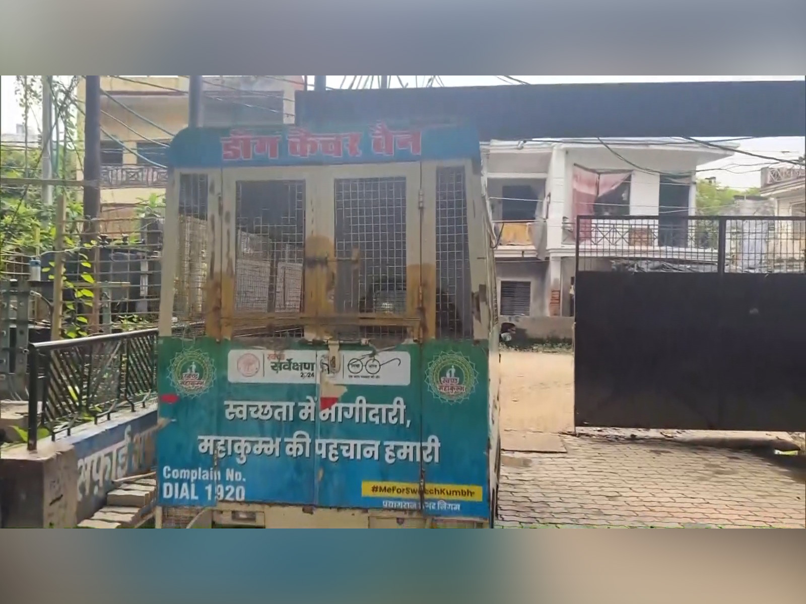 UP civic body orders life confinement for repeat-bite dogs (Photo/ANI)