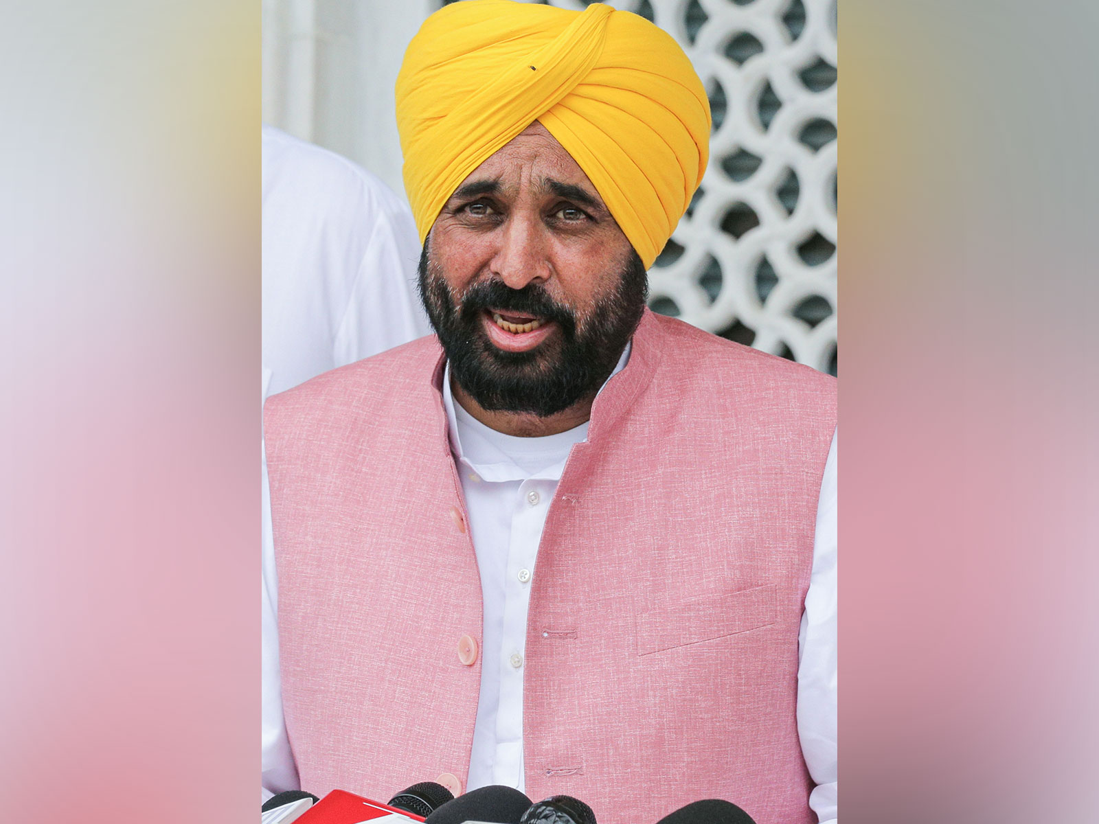Punjab Chief Minister Bhagwant Singh Maan (File Photo/ANI) 