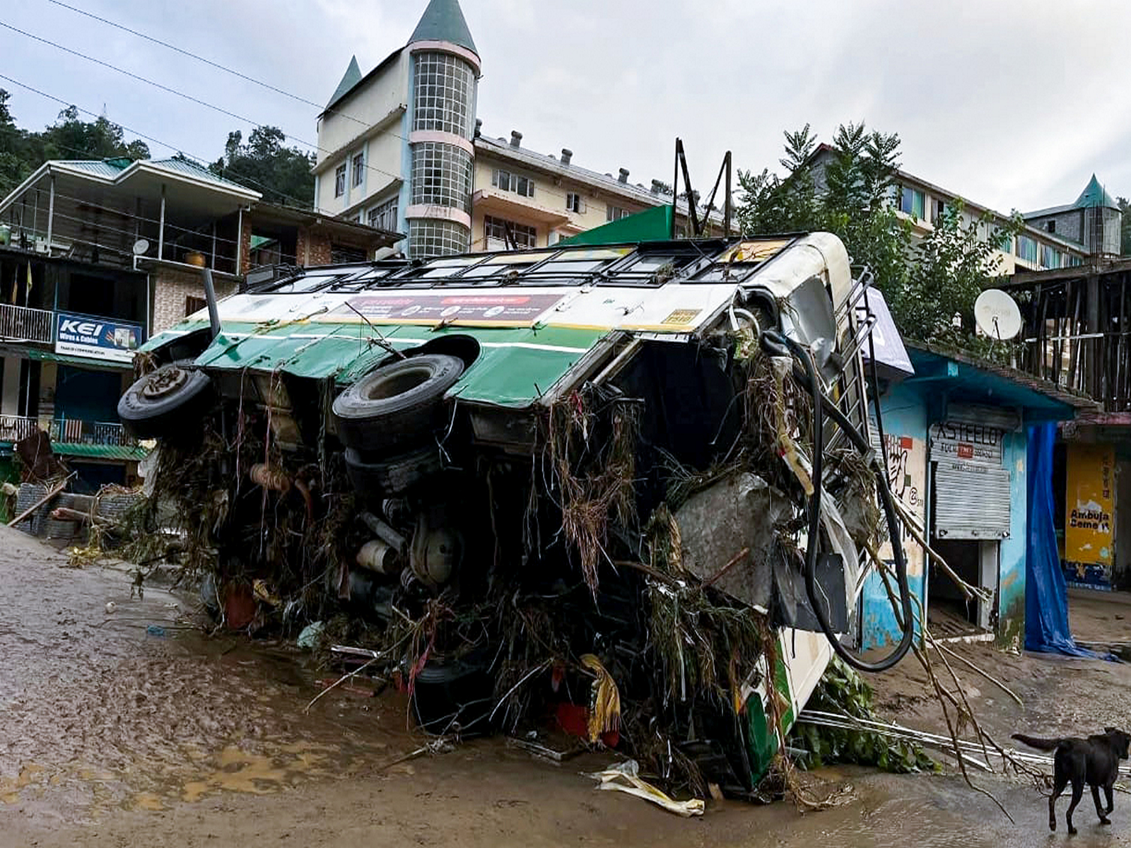 Damage caused to a bus due to rains in Himachal Pradesh (File Photo: ANI)