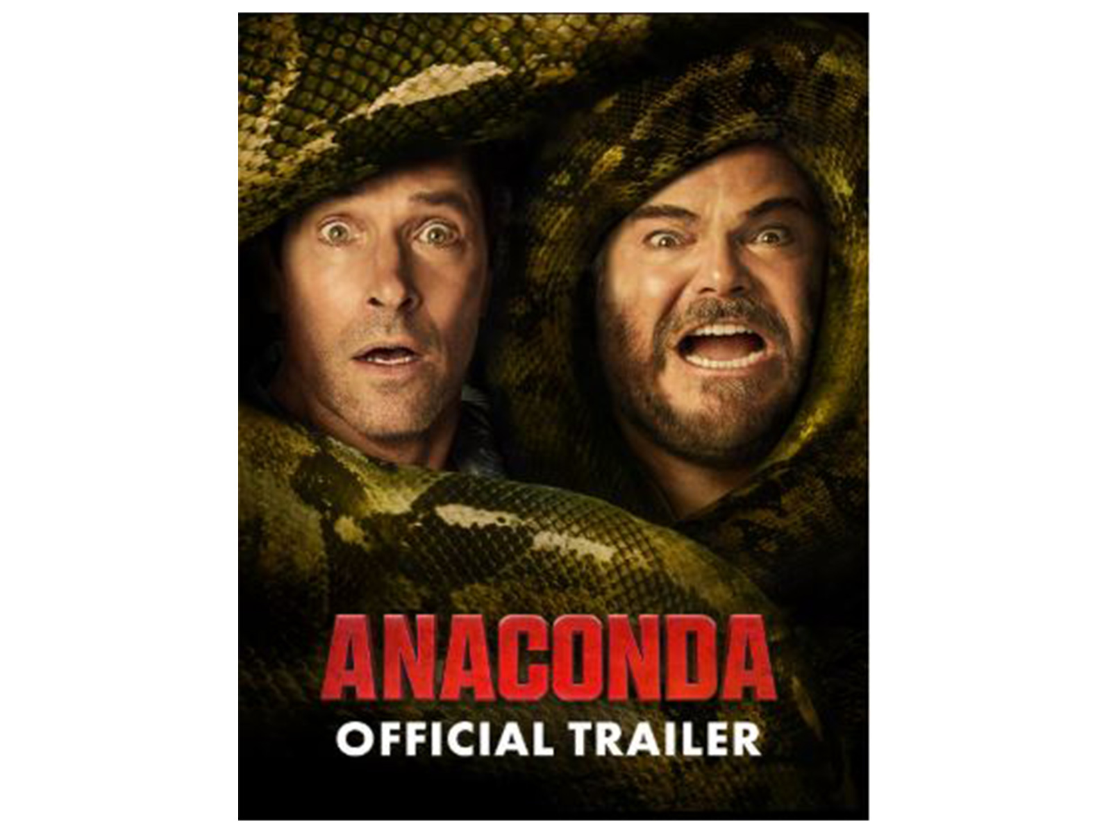 Anaconda poster (Photo/instagram/@Sony)