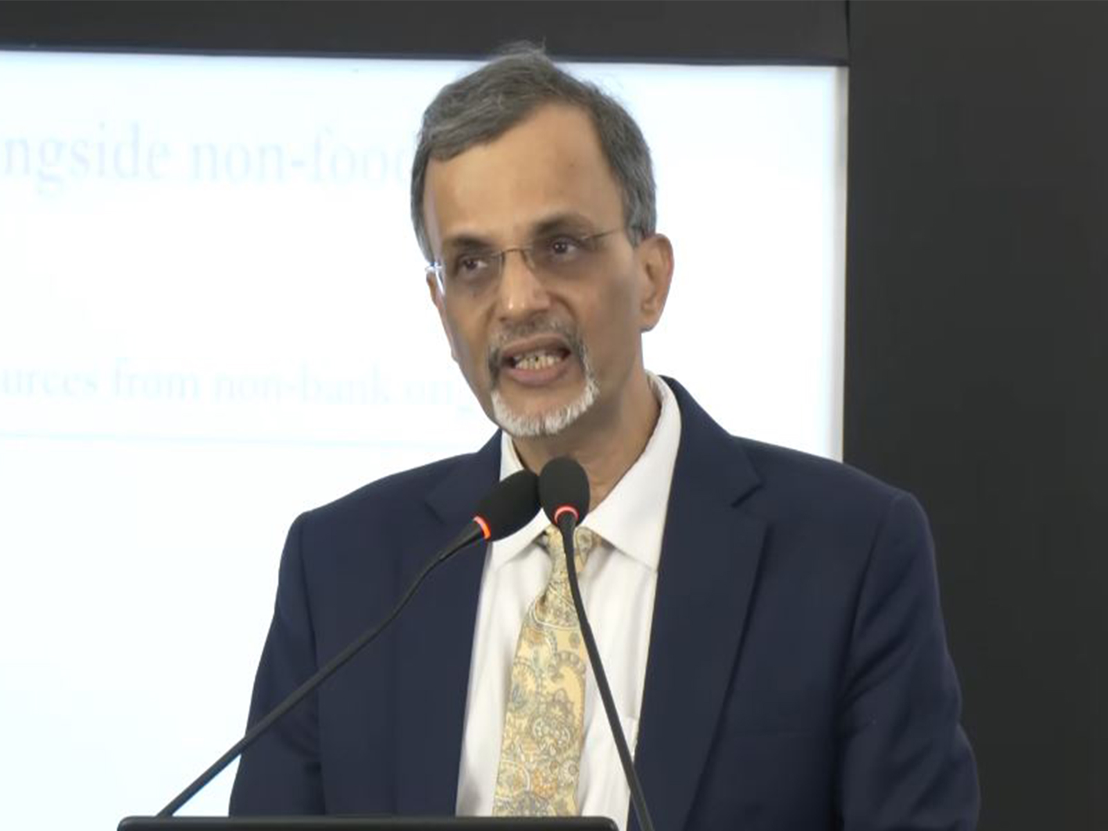 CEA V Anantha Nageswaran (Photo/ANI)