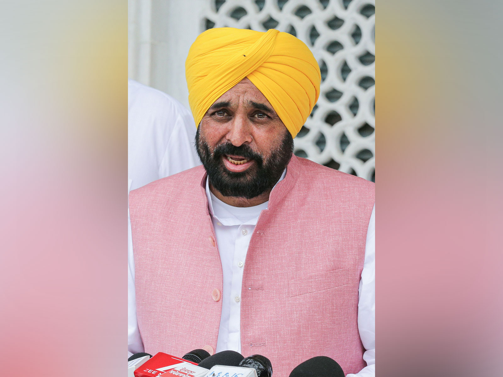 Punjab Chief Minister Bhagwant Mann (File Photo/ANI) 