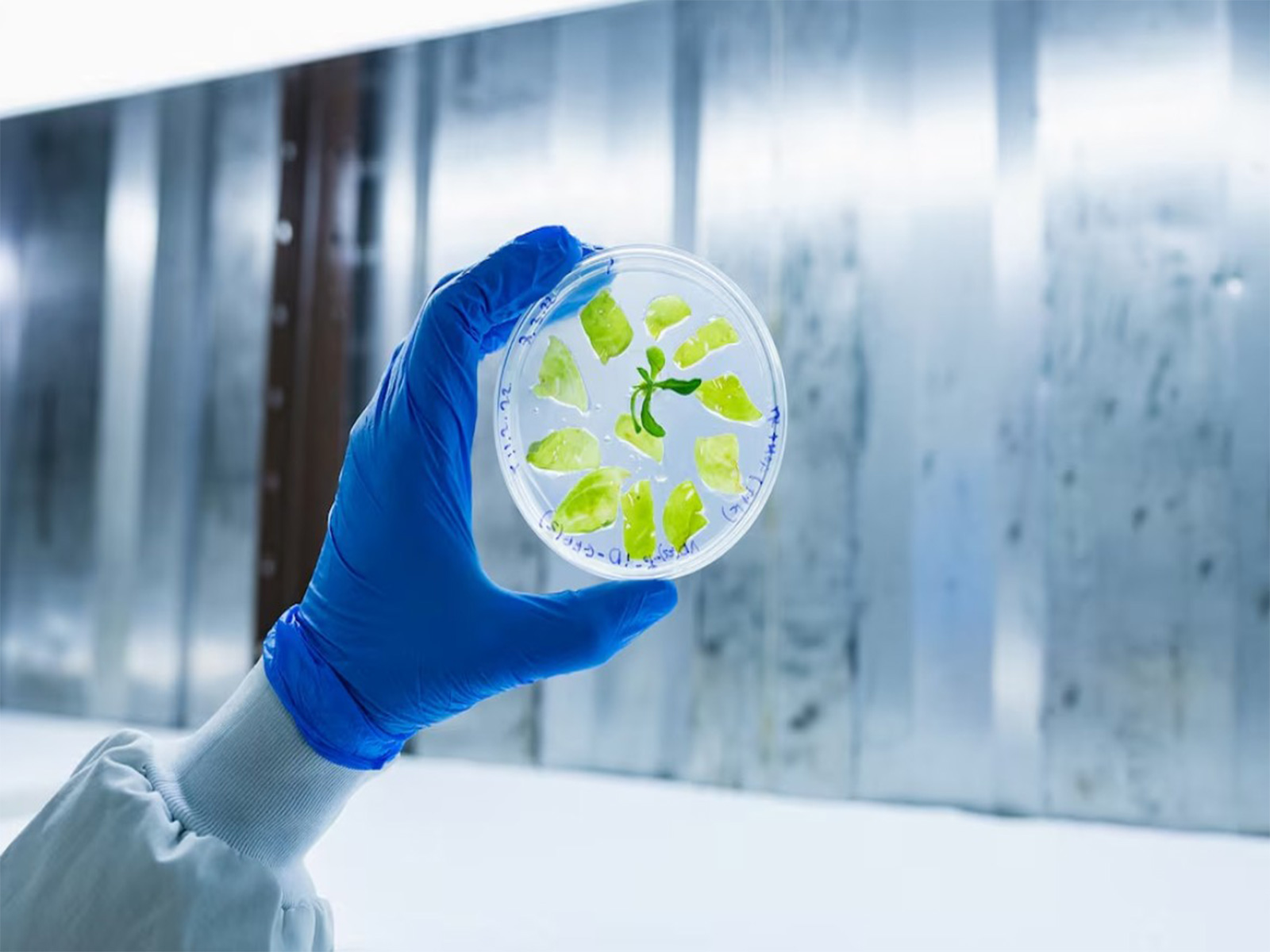 Representative Image (Photo/Reuters)