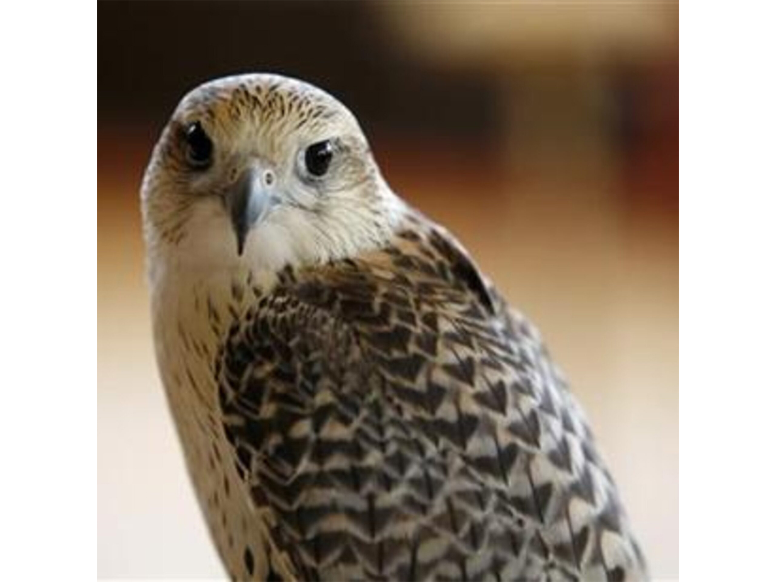 Representative Image (Photo/ Reuters)