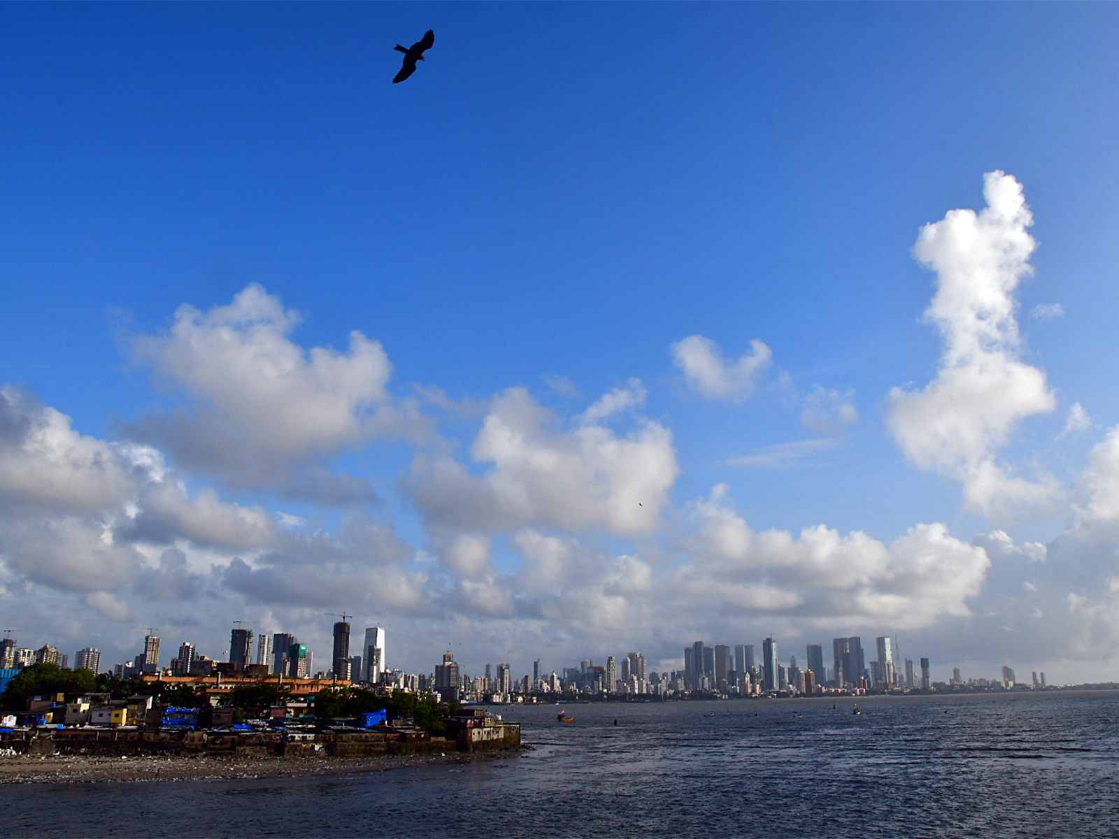 Representative Image (File Photo/ANI)