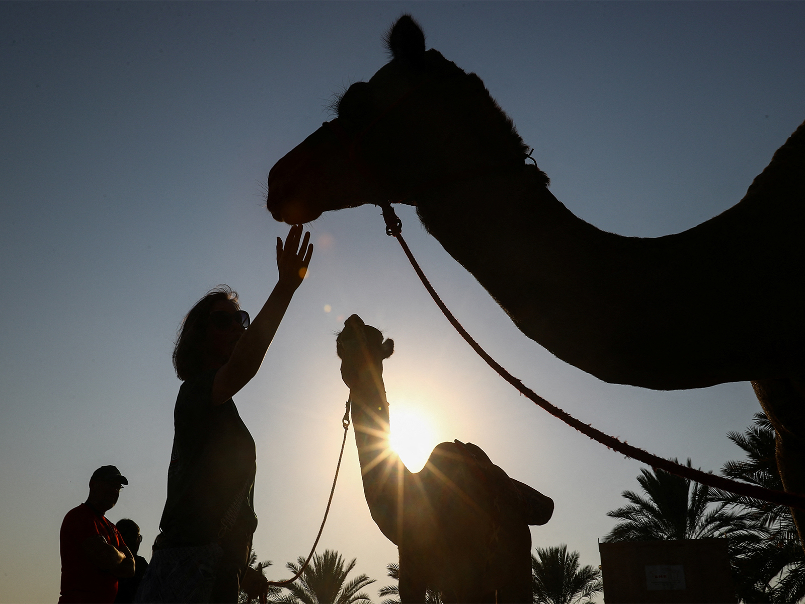 Representative Image (Photo/Reuters)