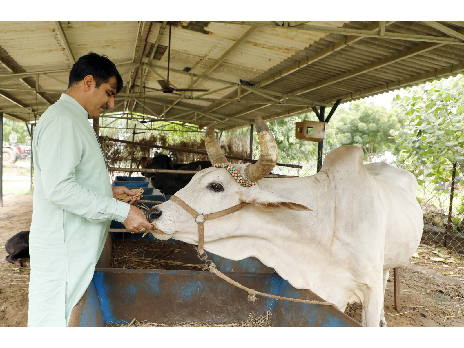 Shri Shankarbhai Chaudhary, Chairman of Banas Dairy