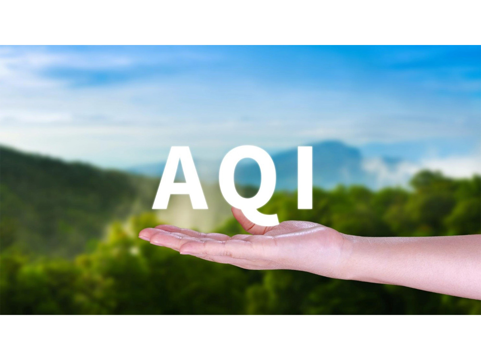 Where Nature Breathes: Why Chowk - Karjat’s AQI and Biodiversity Are a Wellness Magnet