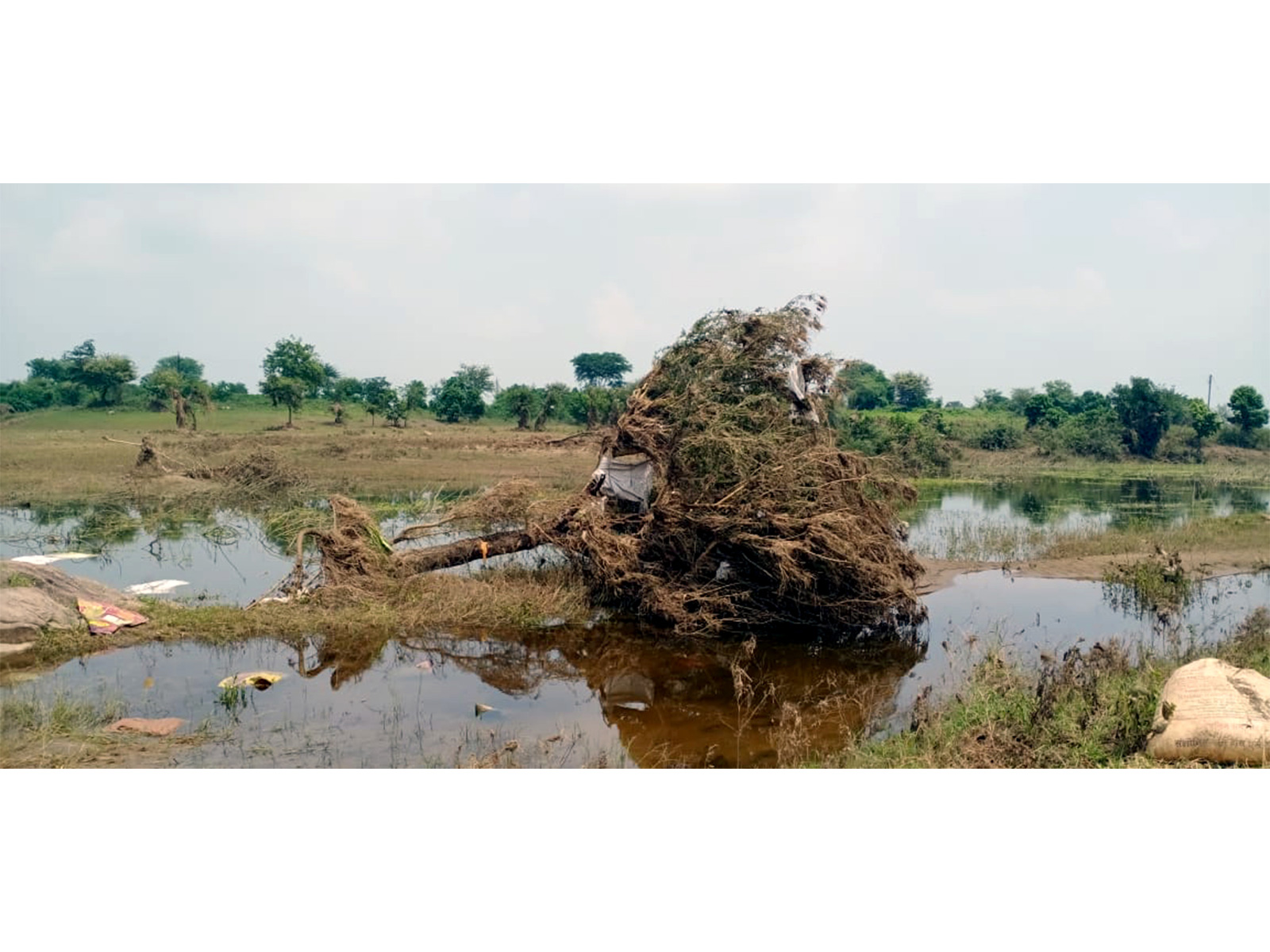 Representative Image (File Photo/ANI)