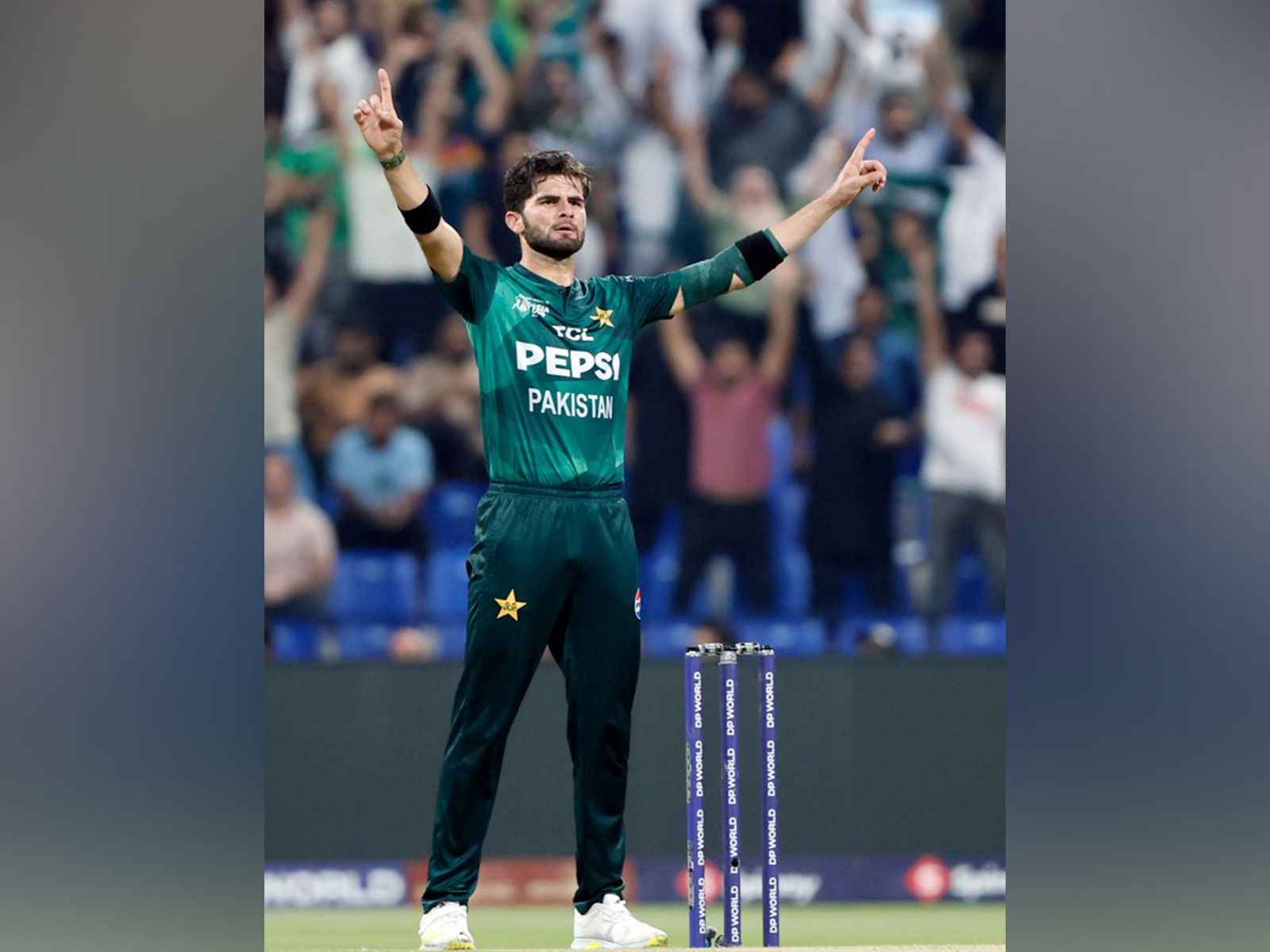 Shaheen Afridi (Photo/ANI) 