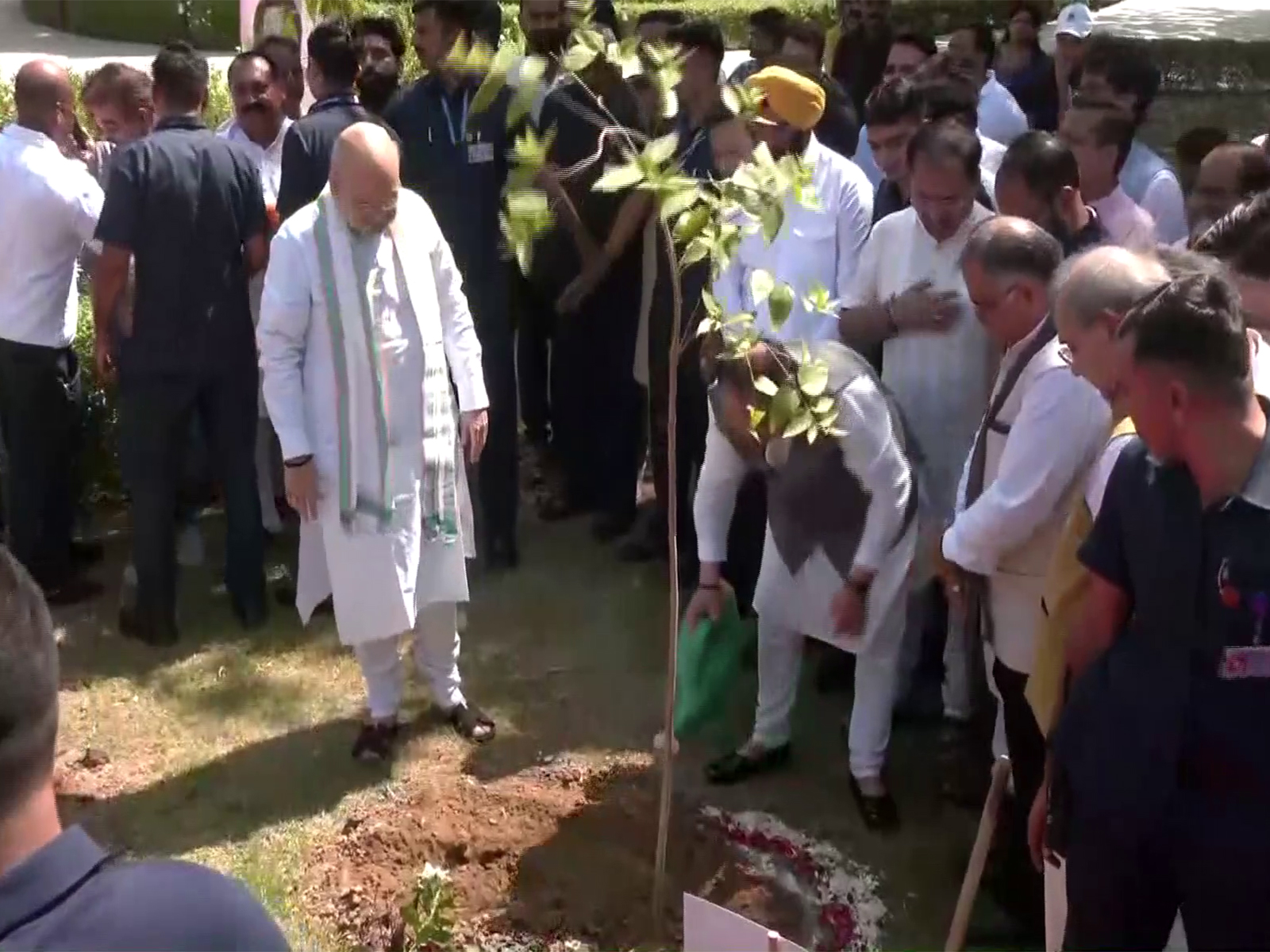 Amit Shah, JP Nadda plant sapling at Deen Dayal Upadhyay Park (Photo/ANI)