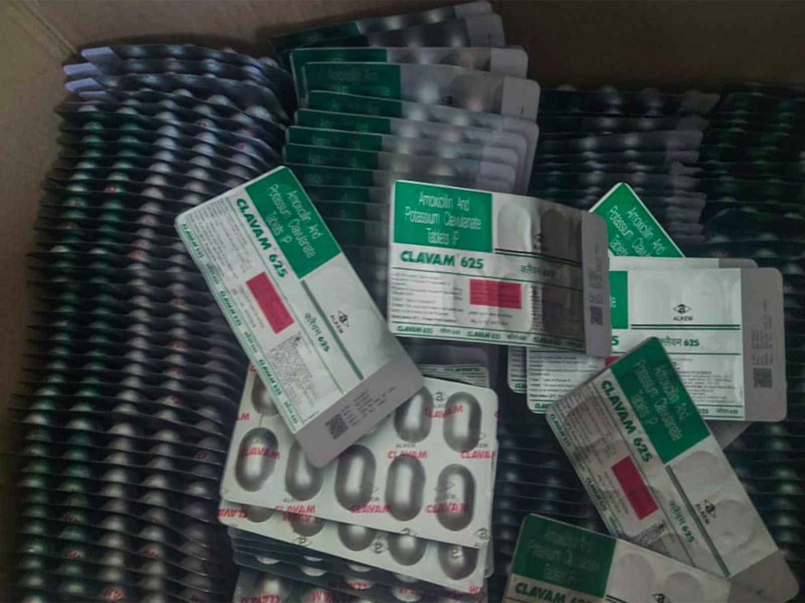 ANI News - Business - News Image