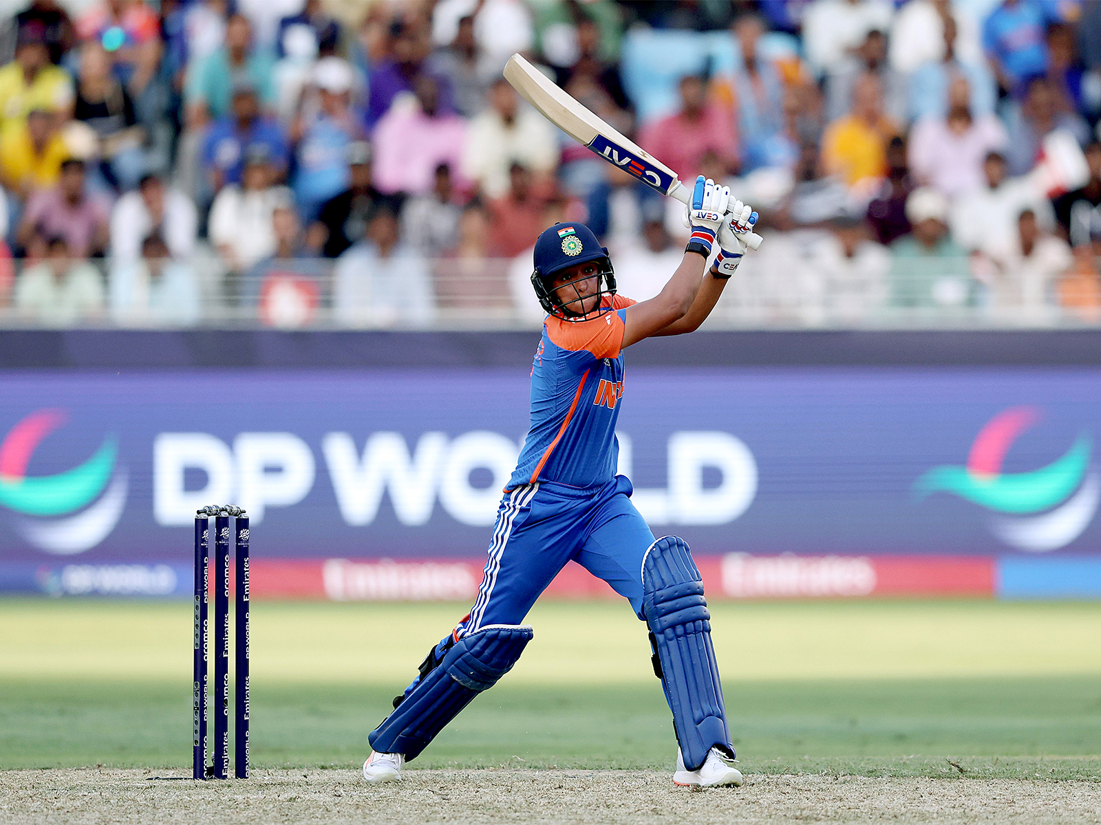 ANI News - Sports - News Image