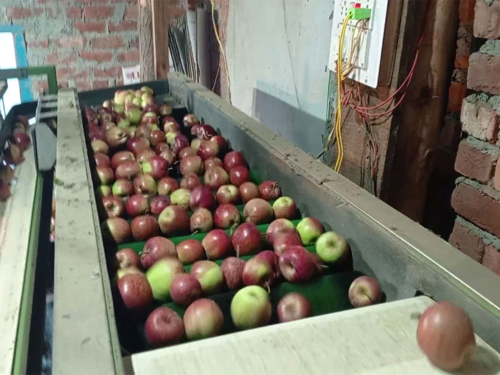 Visuals of the factory, where apples are processed (Photo/ANI) 