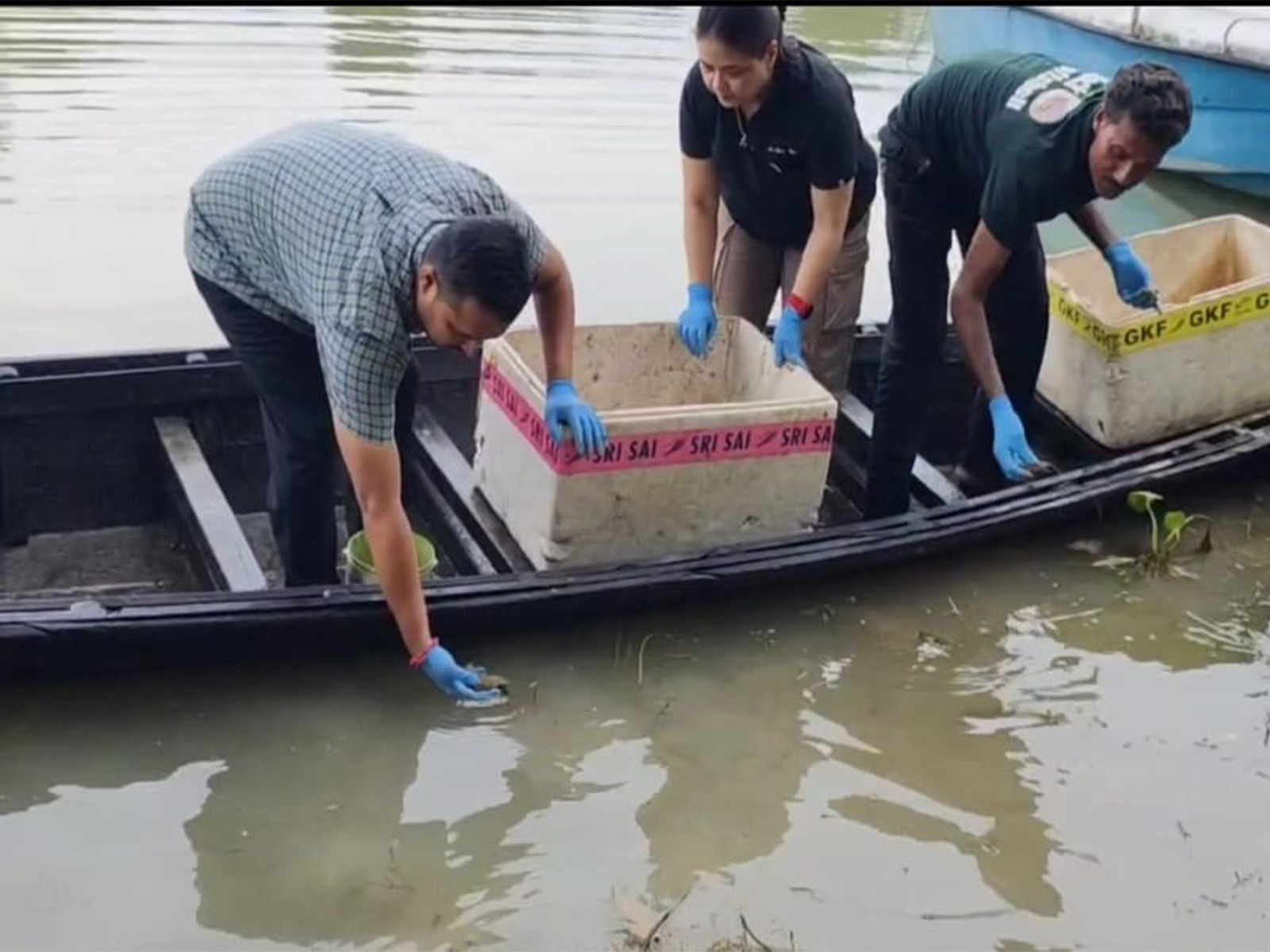 Assam:104 hatchlings of three turtle species released at Hadug Beel in Pobitora Wildlife Sanctuary (Photo/ANI)