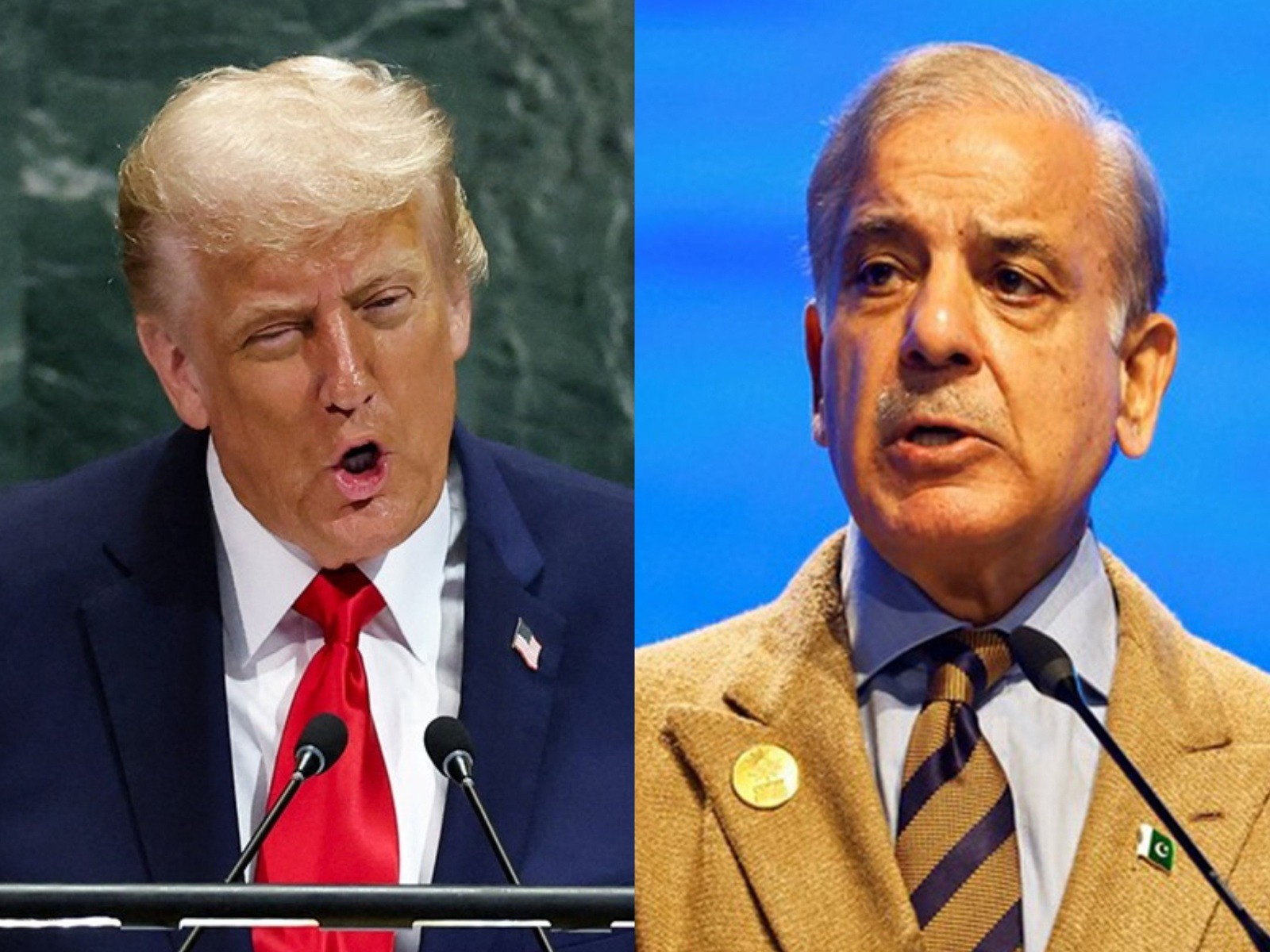 US President Donald Trump (left) and Pakistan's Prime Minister Shehbaz Sharif (right) (File Photo/Reuters) US President Donald Trump (left) and Pakistan's Prime Minister Shehbaz Sharif (right) (File Photo/Reuters)