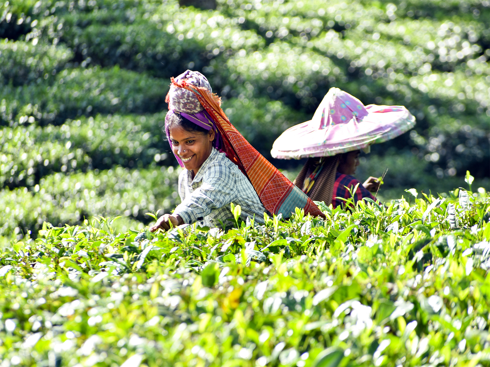 Representative Image (Photo/ANI)