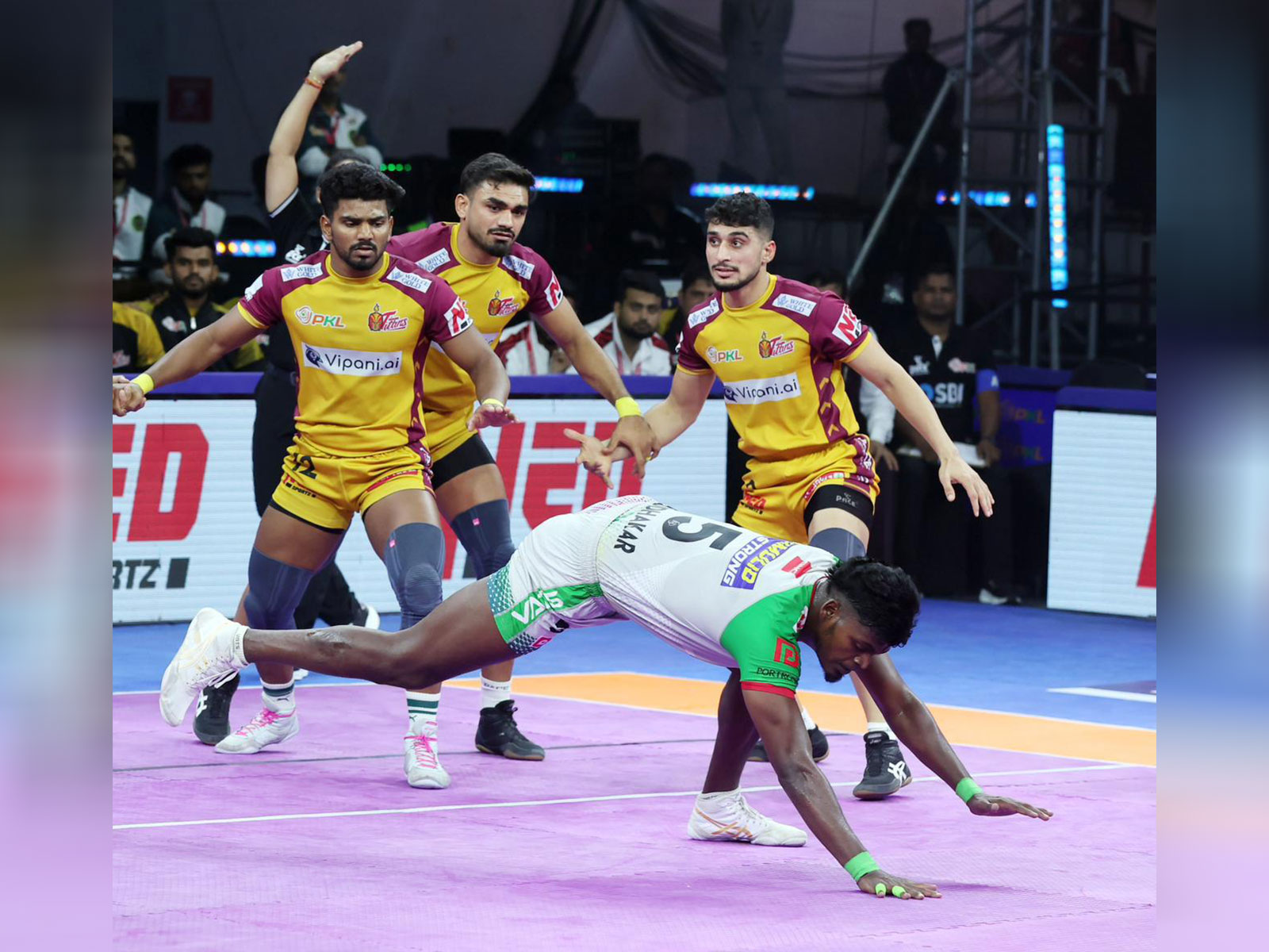 ANI News - Sports - News Image