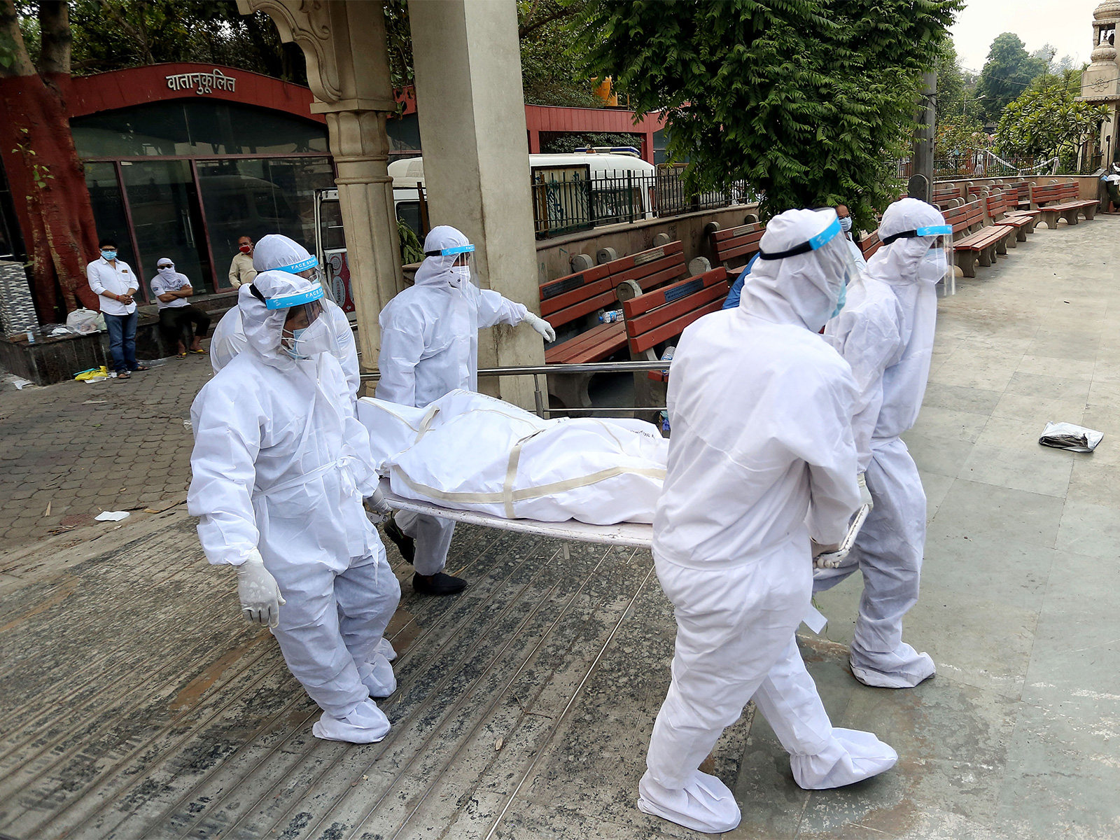 Representative Image (Photo/ANI)