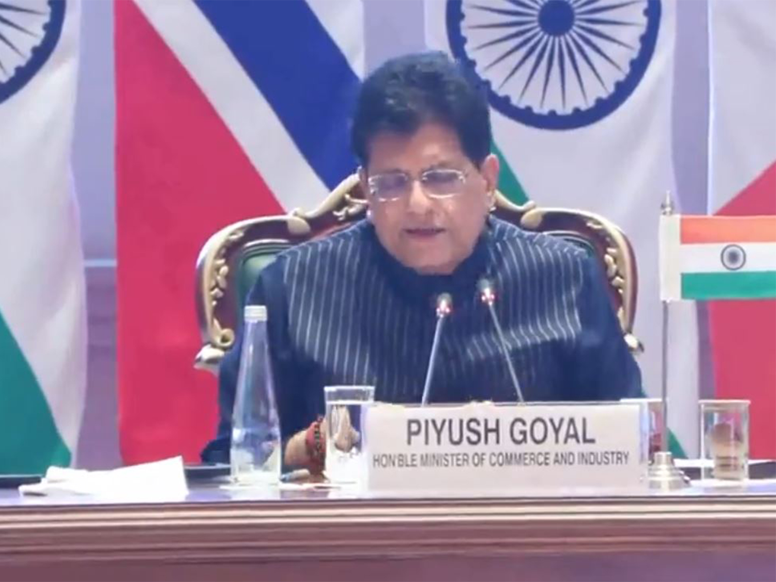 Union Commerce and Industry Minister Piyush Goyal (File Photo/ANI)