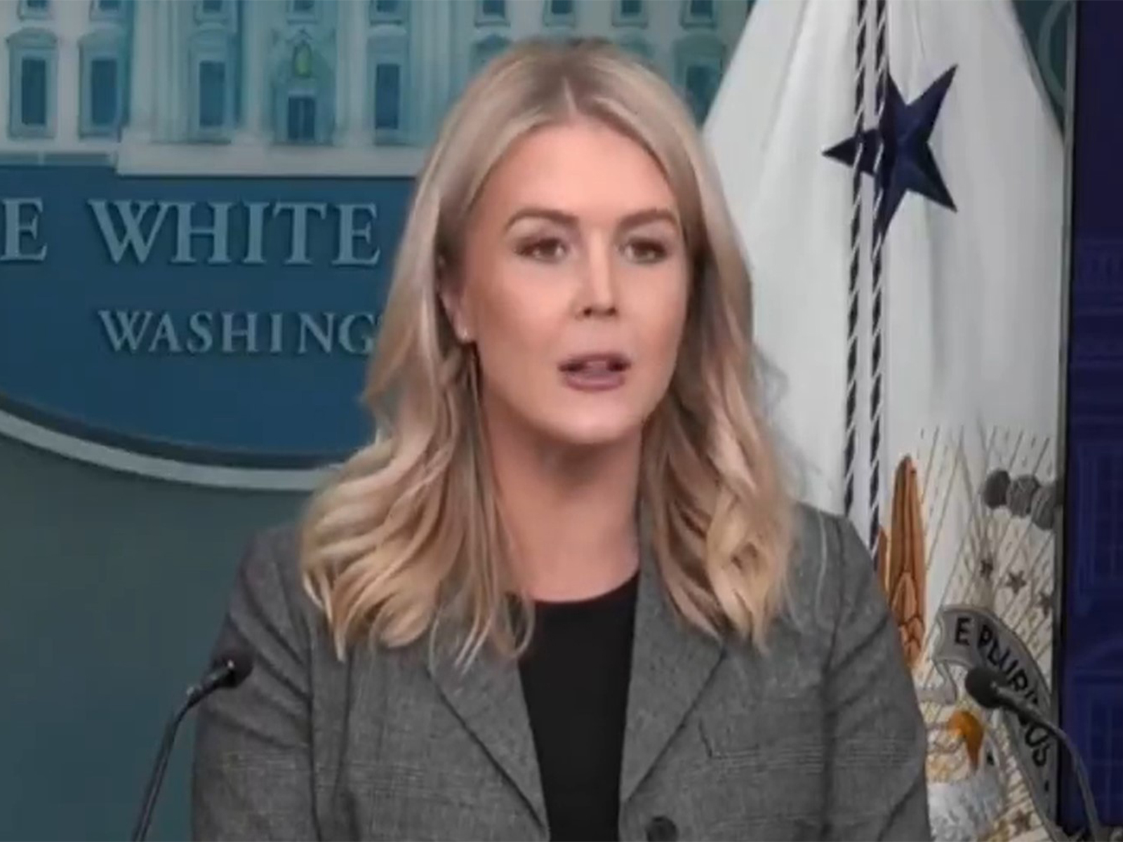 White House Press Secretary Karoline Leavitt (Photo: Reuters)