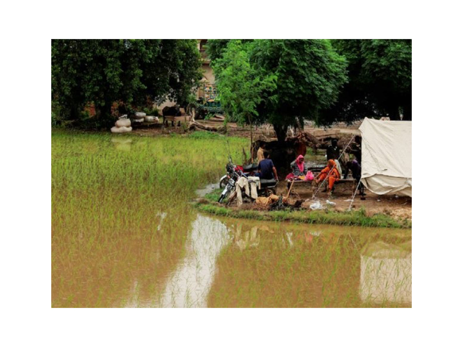 A flood affected area in Pakistan (Photo: Reuters)