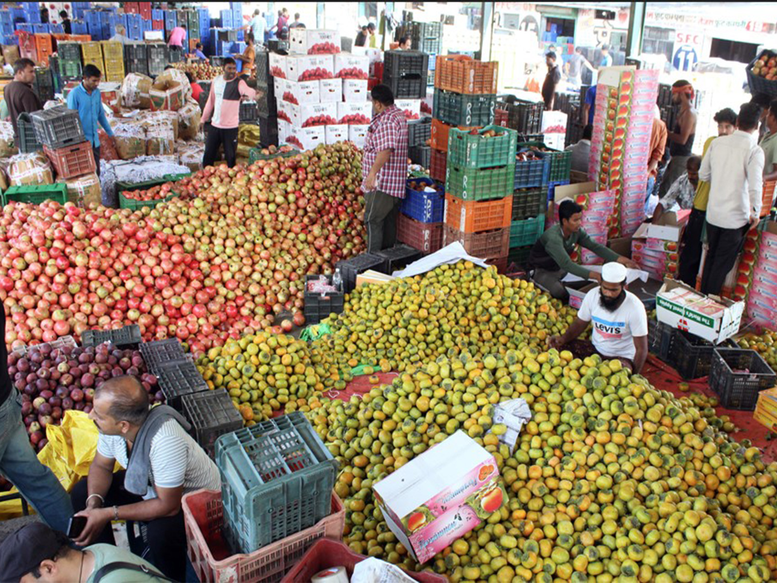 Representative Image of a fruit market (File Photo/ANI) Representative Image of a fruit market (File Photo/ANI)