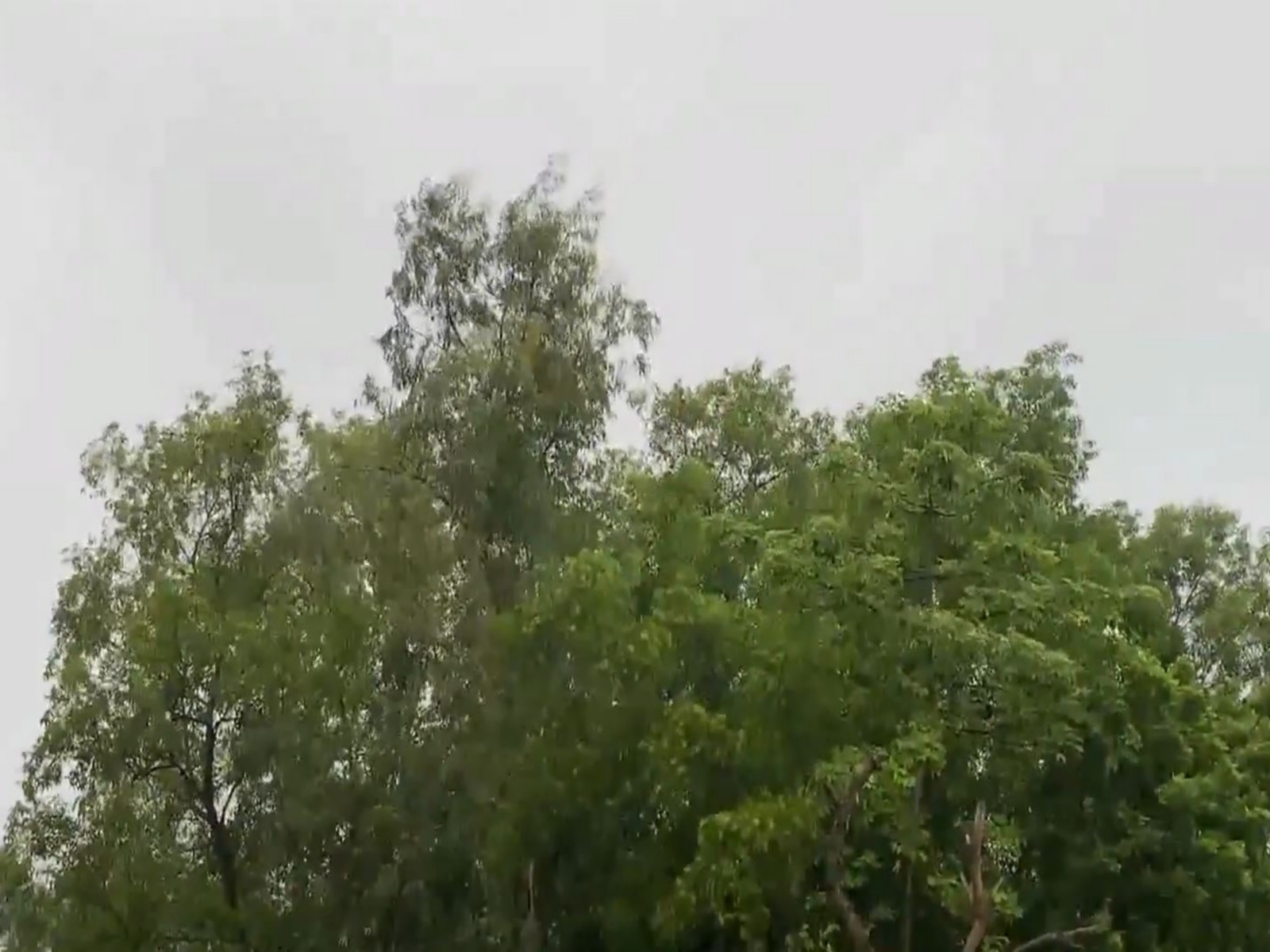 West Bengal's Birbhum receives early morning rain (Photo/ANI)