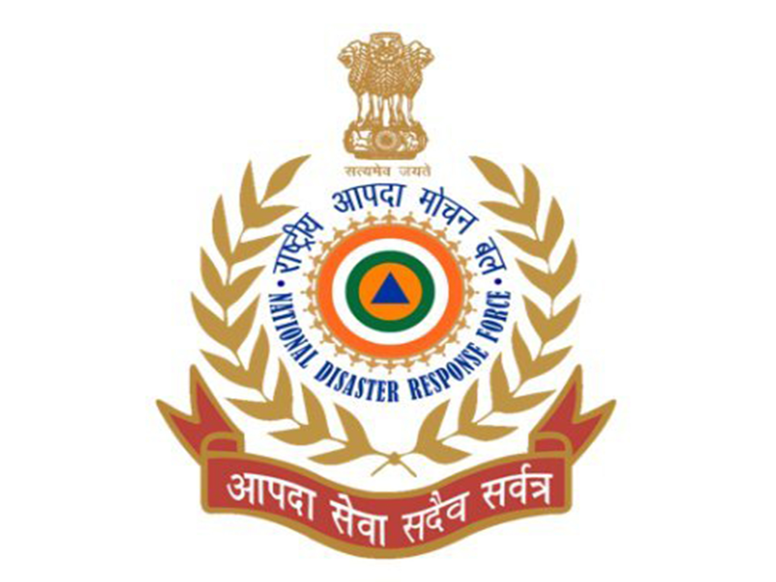 Official logo of NDRF (Photo/X)