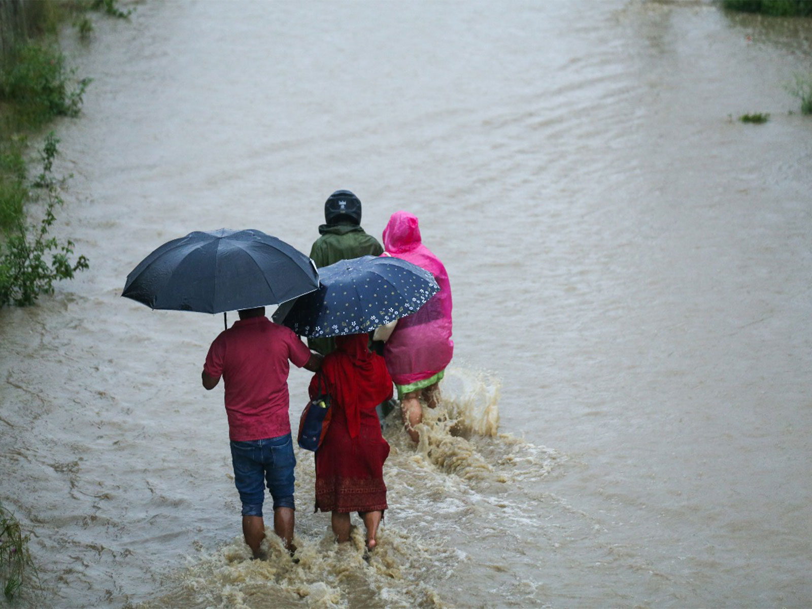 People walk through floodwaters during heavy rainfall (Photo/ANI)