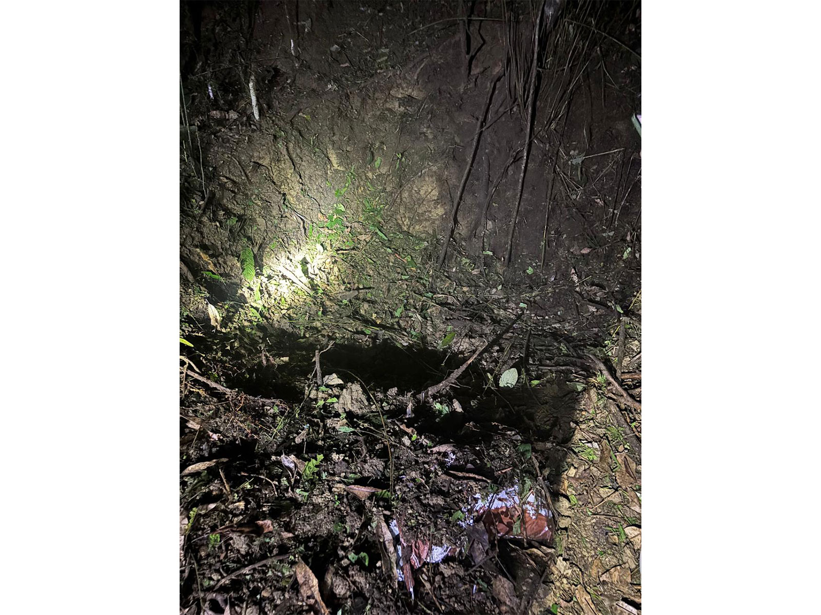 Manipur: Assam Rifles foil major bomb plot in Jiribam (Photo/Assam Rifles) Manipur: Assam Rifles foil major bomb plot in Jiribam (Photo/Assam Rifles)