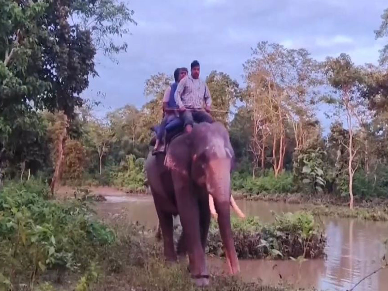 Asian News International (ANI) - Politics - News Image