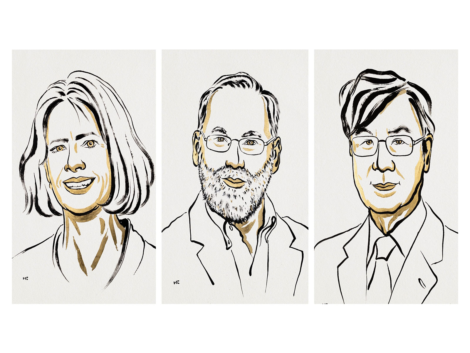 Mary E. Brunkow, Fred Ramsdell, and Shimon Sakaguchi (Photo credit/.nobelprize.org)