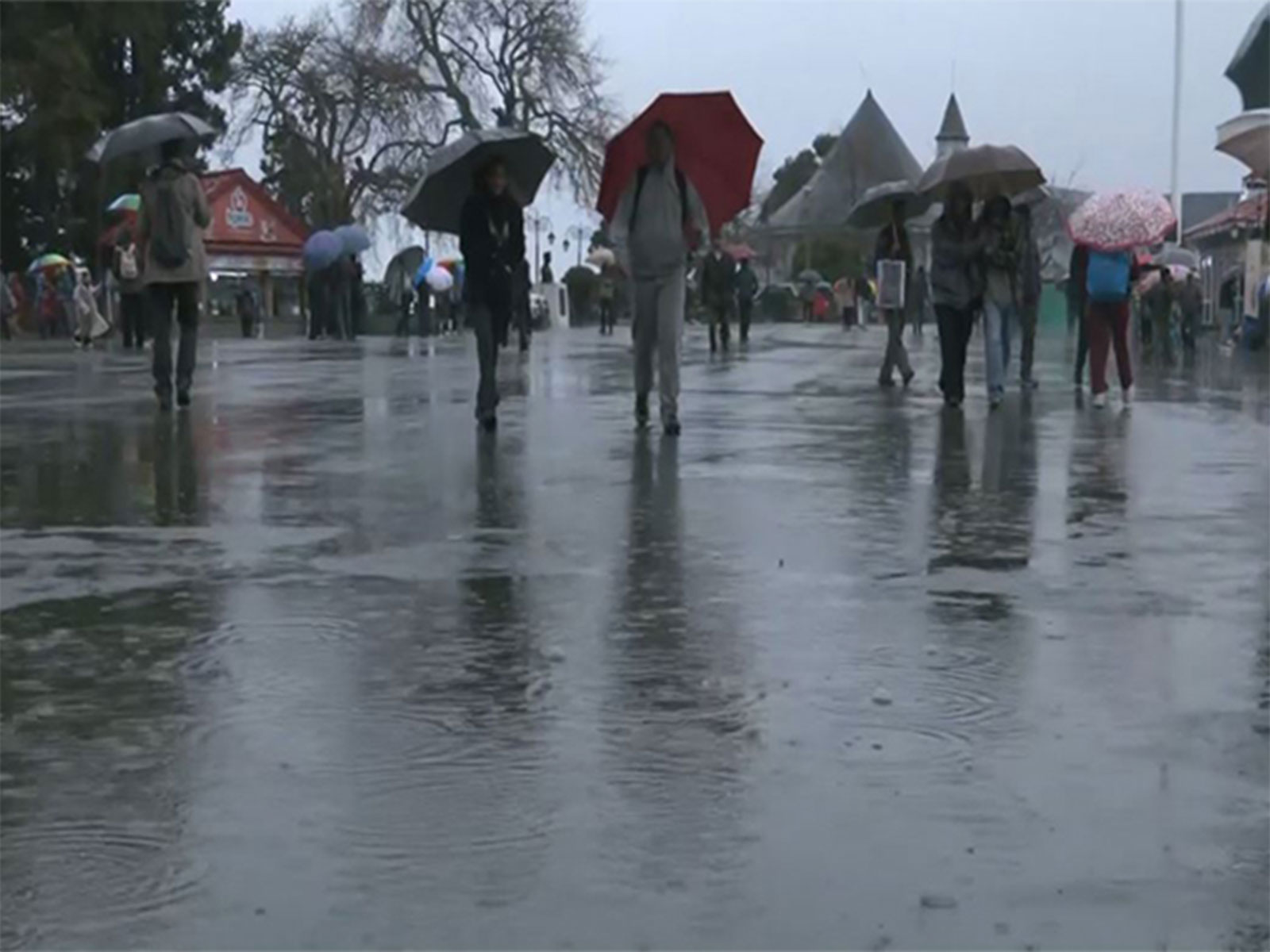 Rain lashes Shimla, tourists share mixed reactions to sudden weather change  (Photo/ANI)