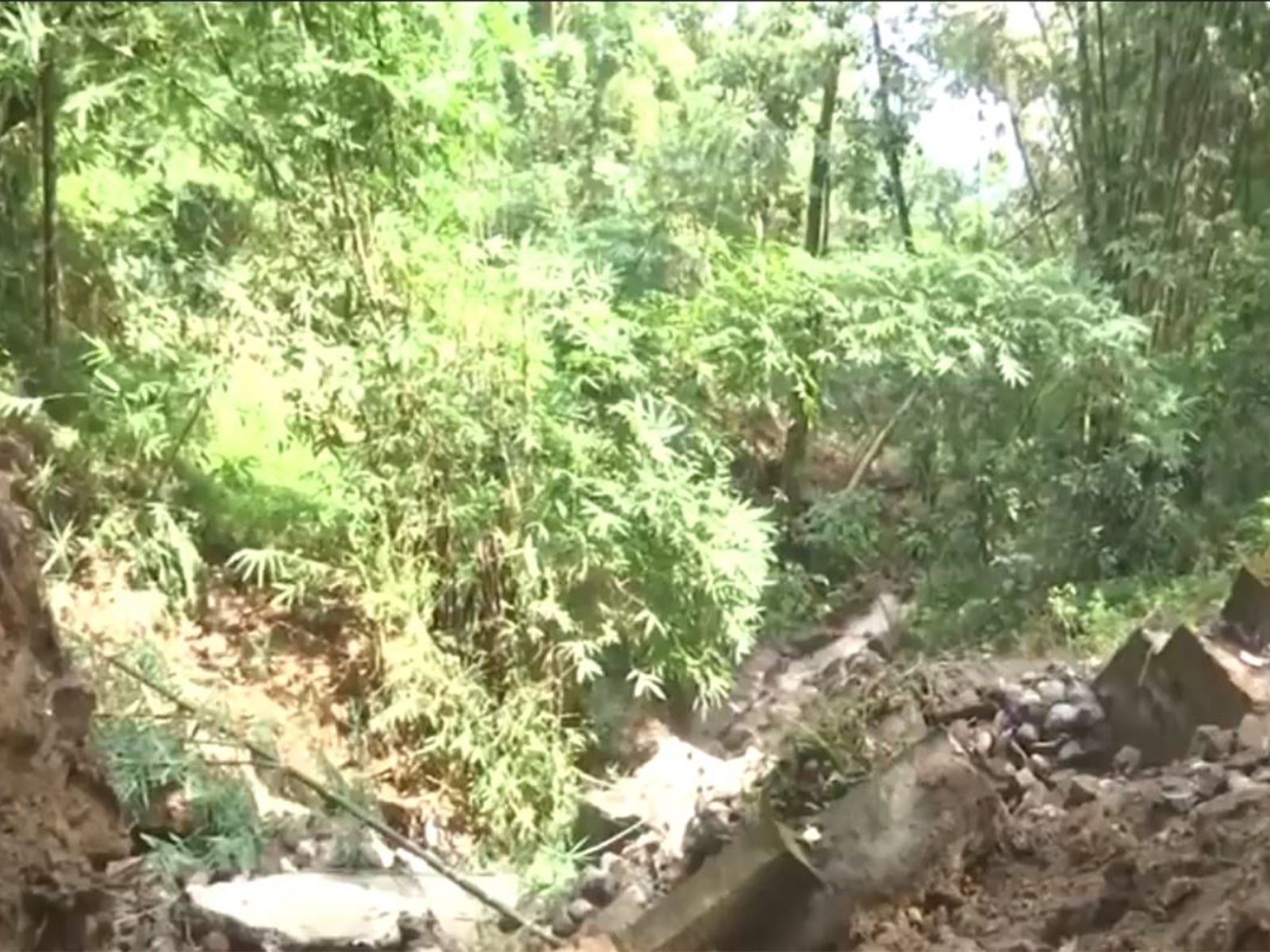 Massive landslides devastate Mirik tea gardens, thousands of bushes destroyed (Photo/ANI)