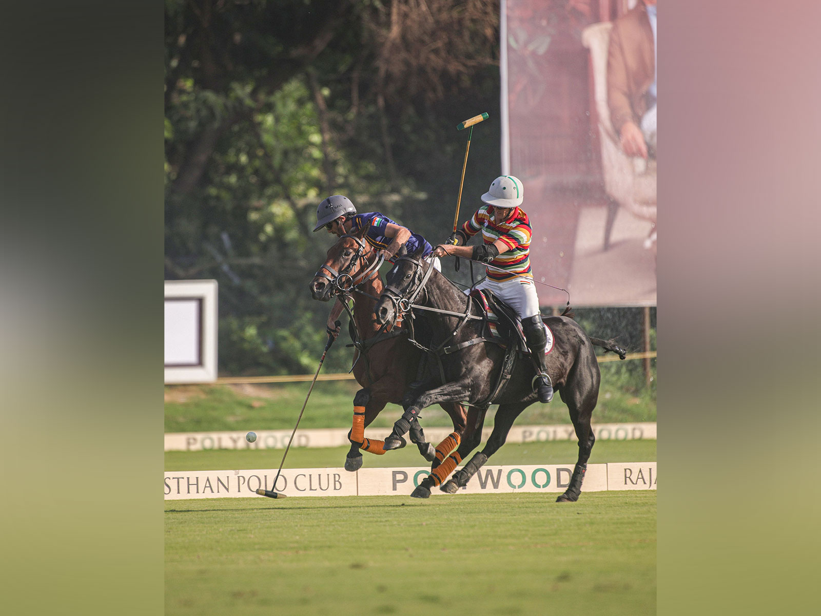 Players in action during the Pol match (Photo: Jaipur Polo Team)