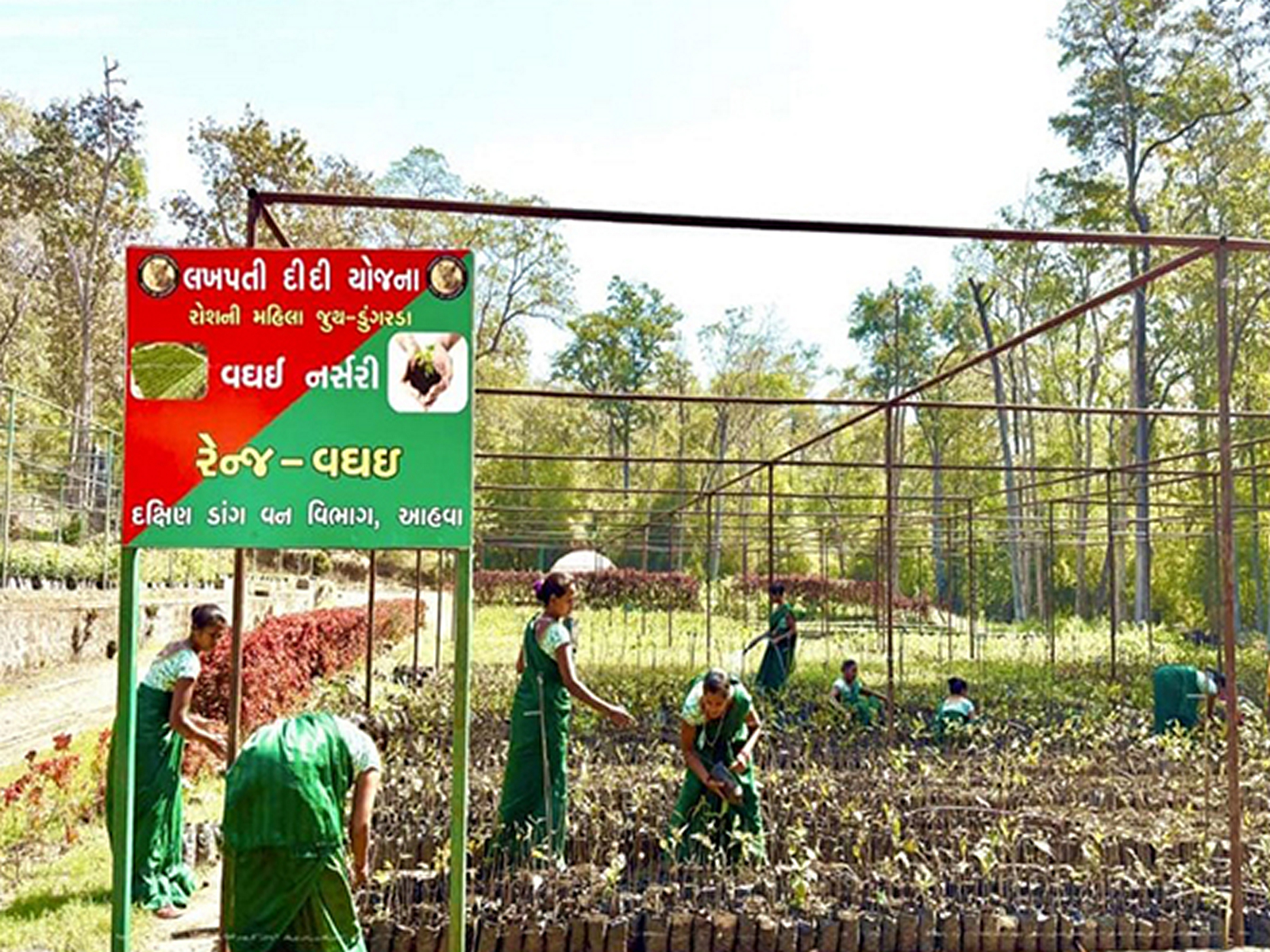 Women from SHGs working on nursery raising and plantation in Gujarat’s South Dang. (File Photo/ANI)