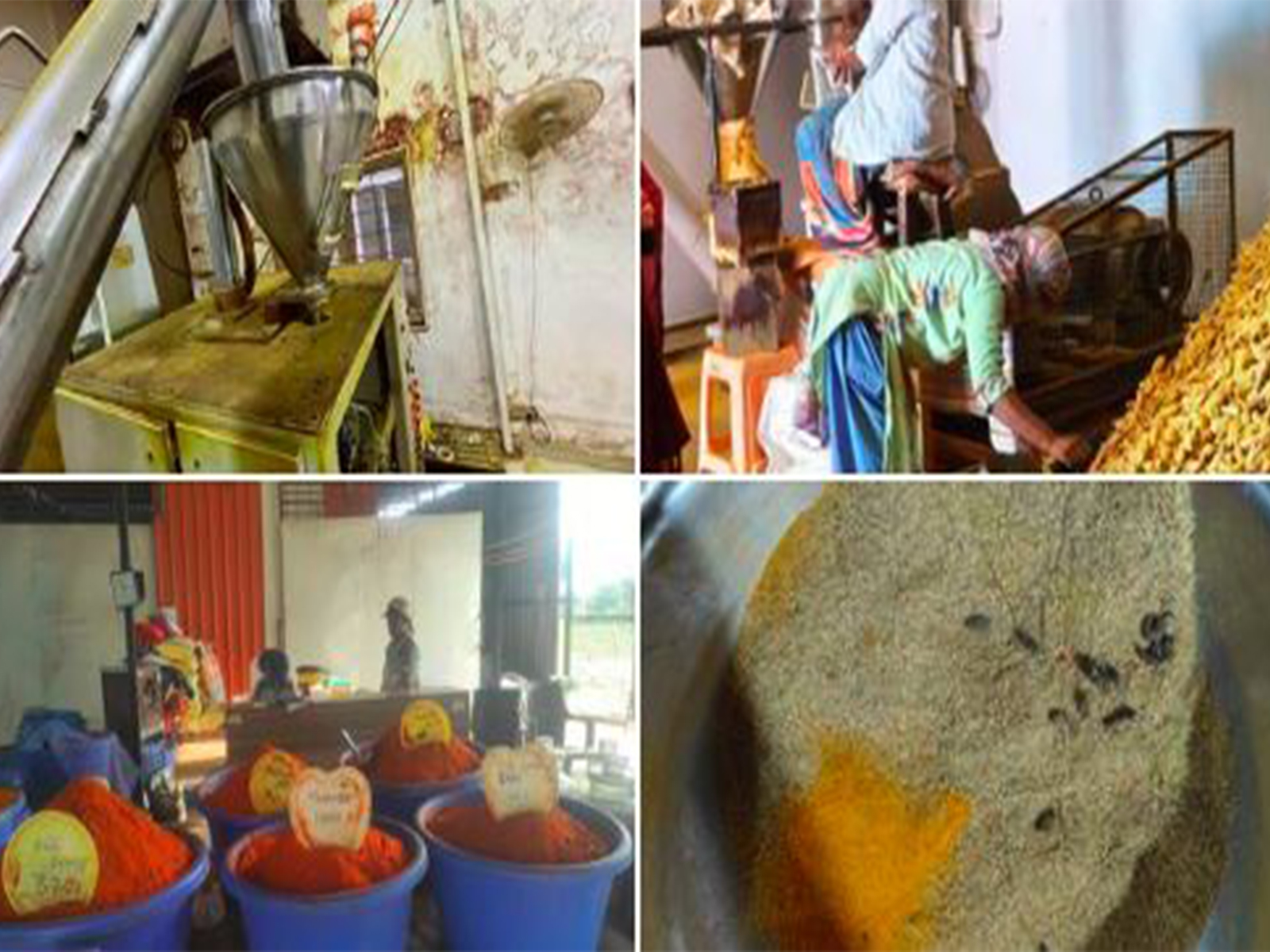 Telangana Food Safety officials inspecting spice units during the Spices Drive (Photo/X @cfs_telangana)