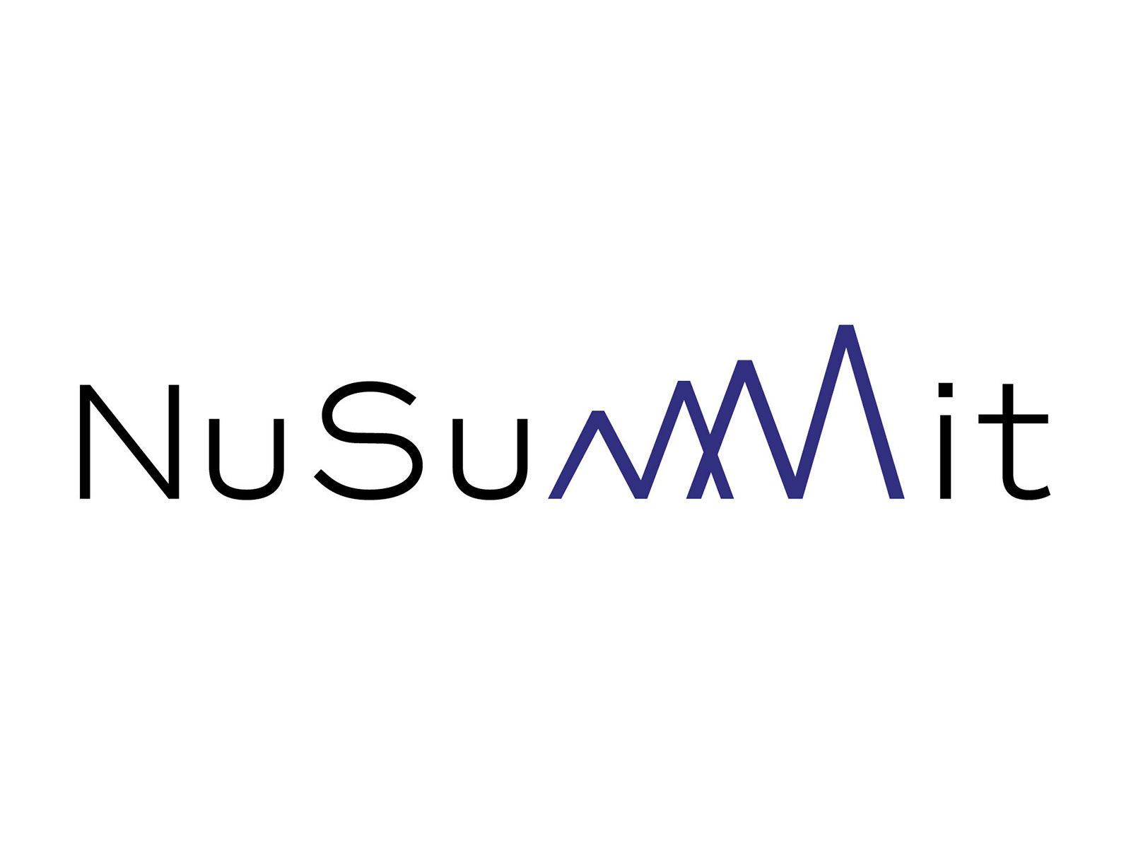 NuSummit Logo NuSummit Logo