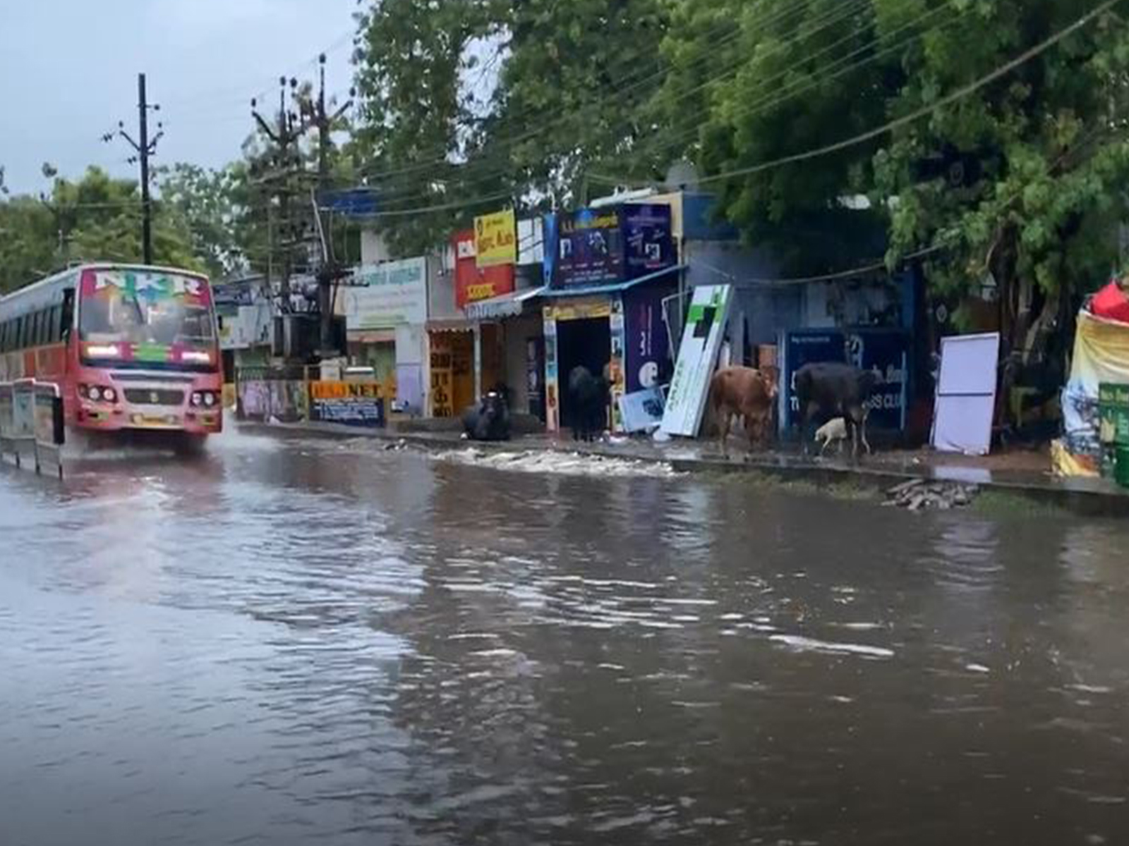 Visuals of Heavy rain from Thoothukudi in Tamil Nadu. (Photo/ANI)