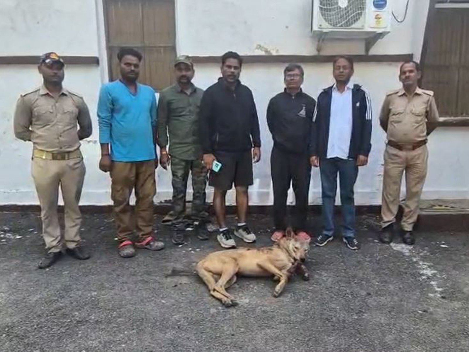 Man-eating wolf neutrilized by Forest Department (Photo/ANI)