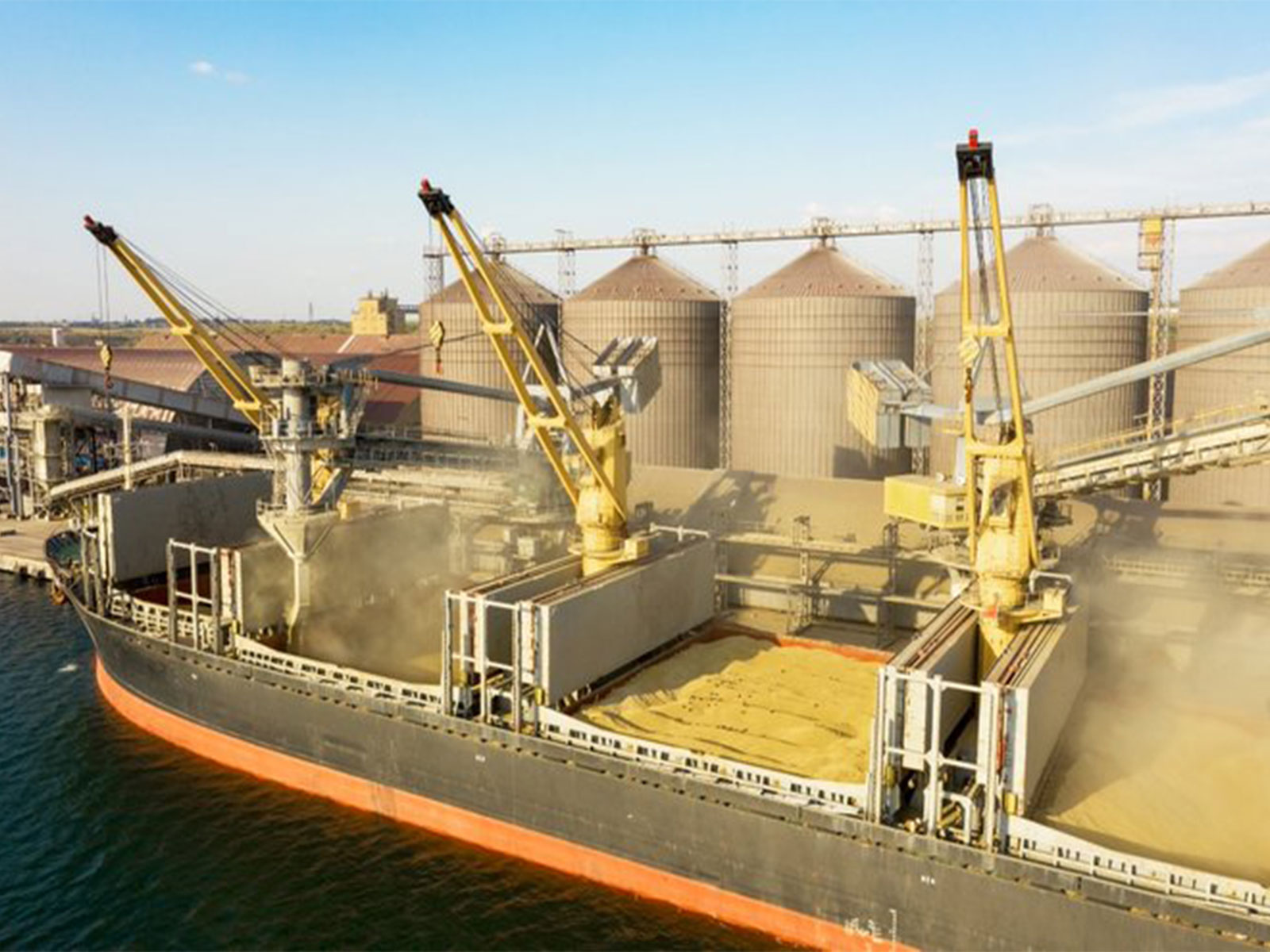 Representative Image (Photo credit/@IMOHQ)